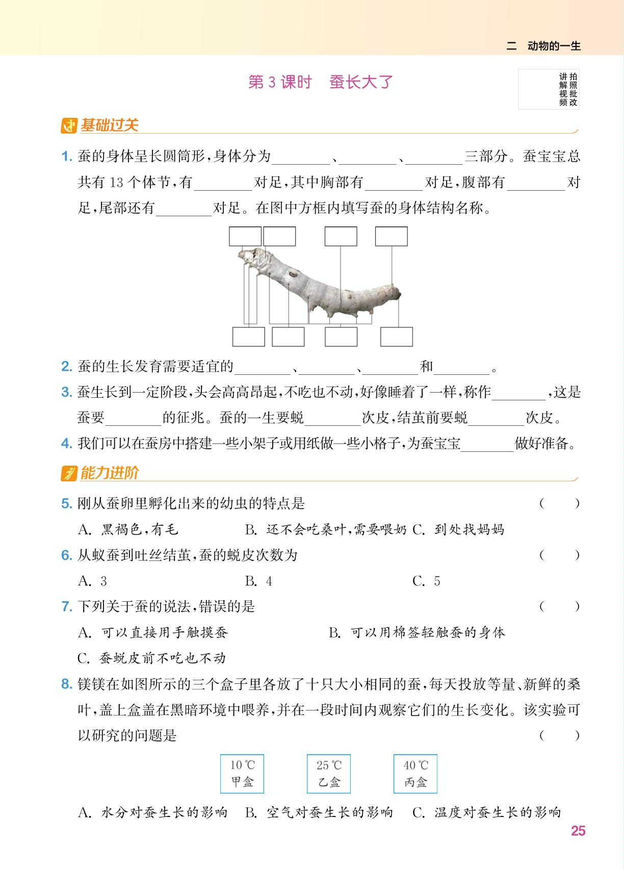 第2单元 第3课时 蚕长大了-【拔尖特训】2024-2025学年三年级下册科学（教科版2017）