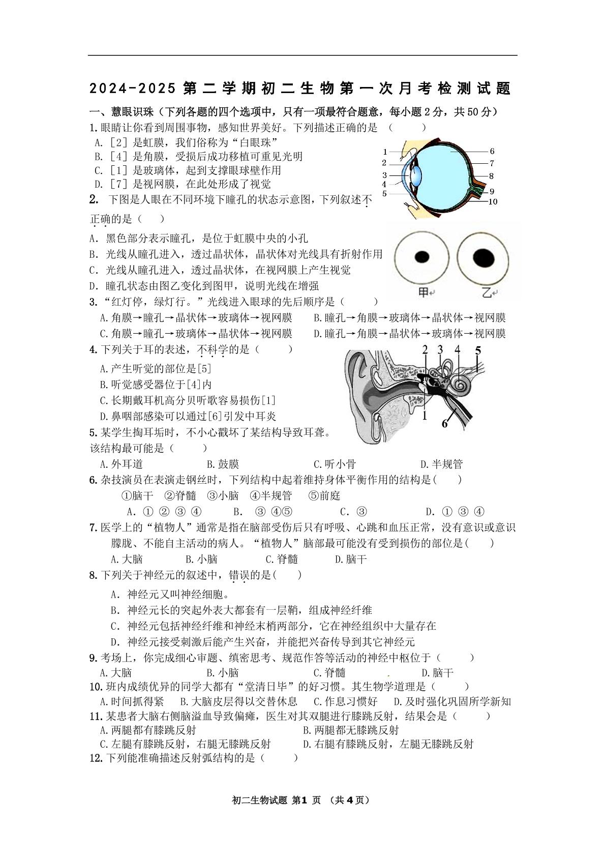 山东省济宁市第七中学2024-2025学年七年级下学期3月学情检测生物试题