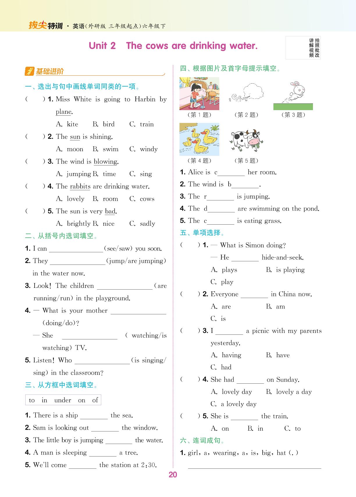Module 3 Unit 2 The cows are drinking water.-【拔尖特训】2024-2025学年六年级下册英语（外研版 三起）