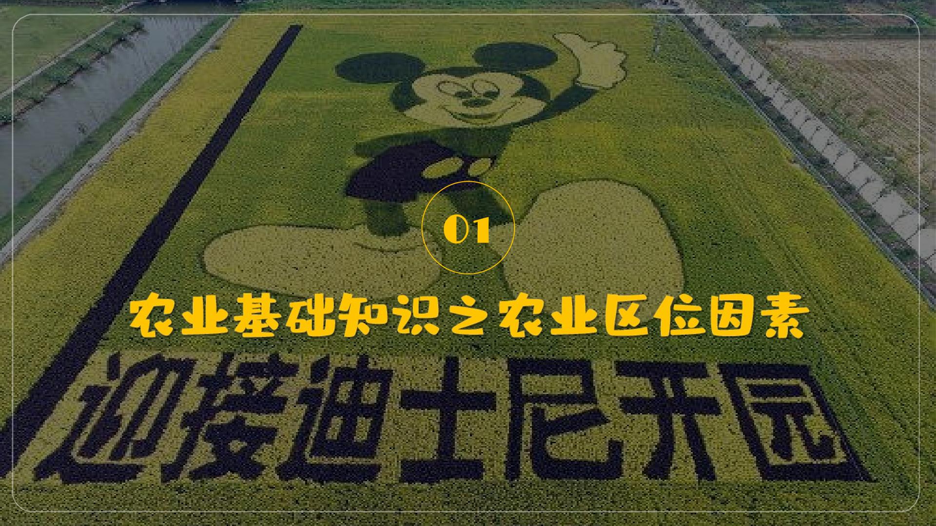 3.1 农业区位因素及其变化（优质课件）-【爱上地理课】2024-2025学年高一地理下学期同步优质课件（人教版2019必修第二册）