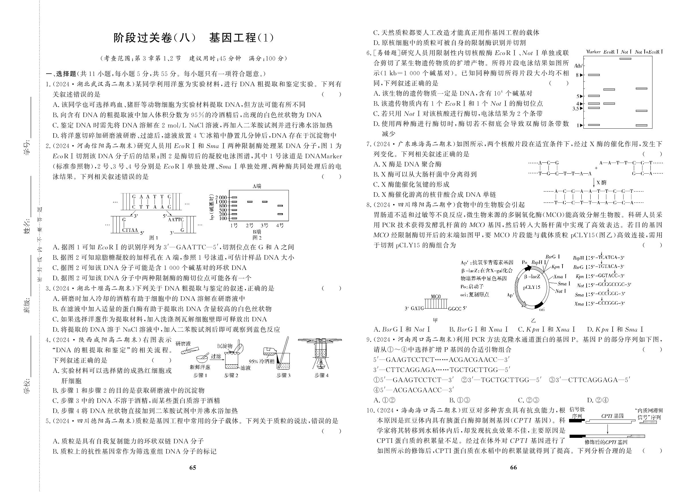 阶段过关卷(8)基因工程(1)-【百汇大课堂·高中学习测试卷】2024-2025学年高中生物学选择性必修第三册（人教版2019）