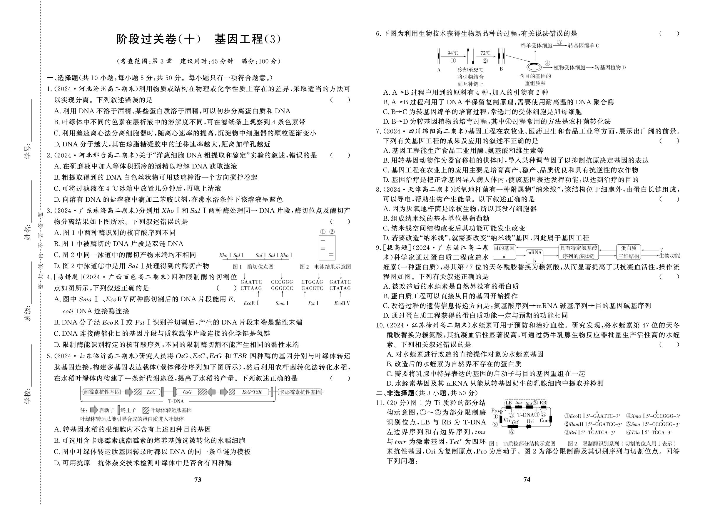 阶段过关卷(10)基因工程(3)-【百汇大课堂·高中学习测试卷】2024-2025学年高中生物学选择性必修第三册（人教版2019）
