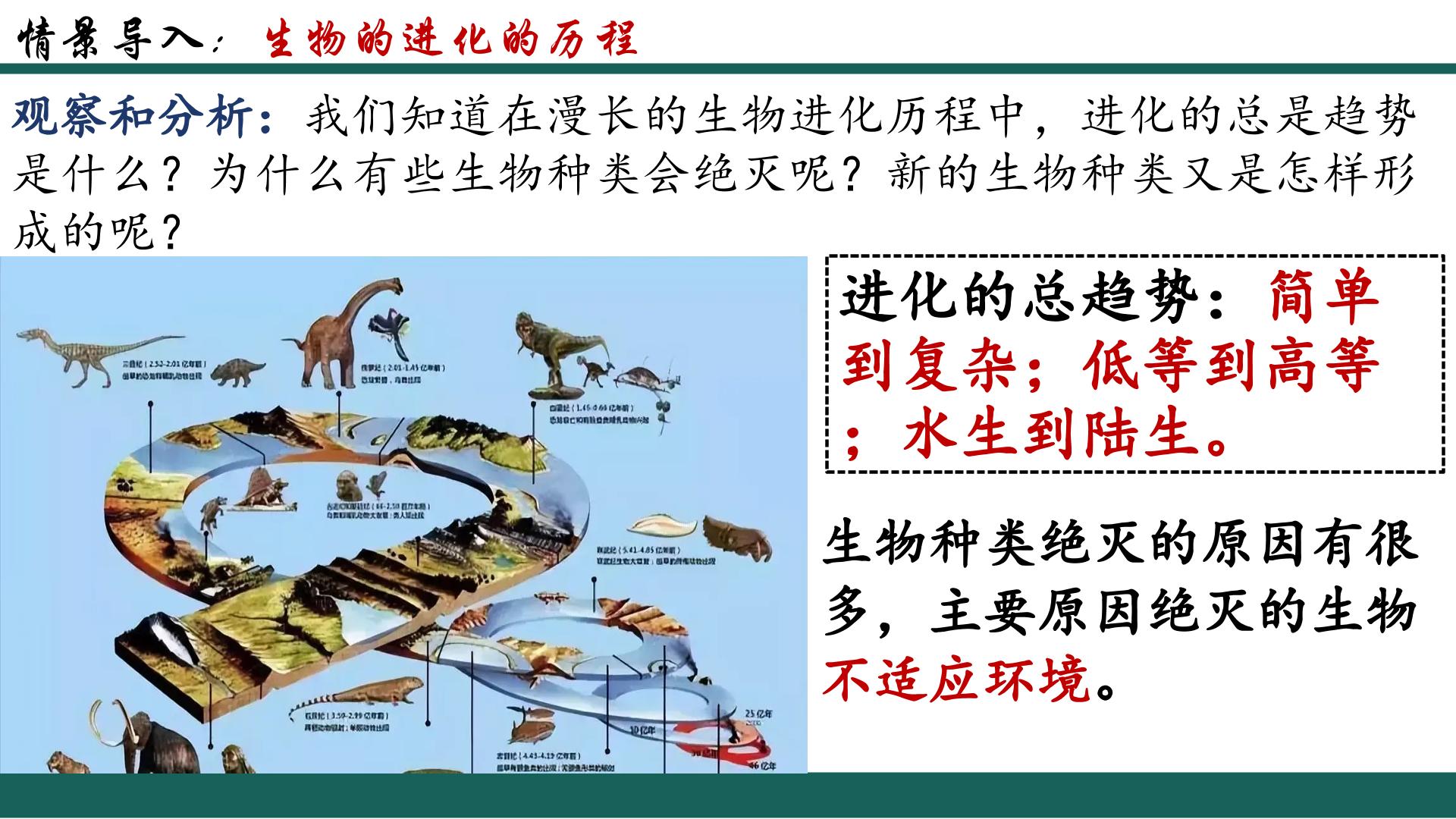 7.3.3 生物进化的原因