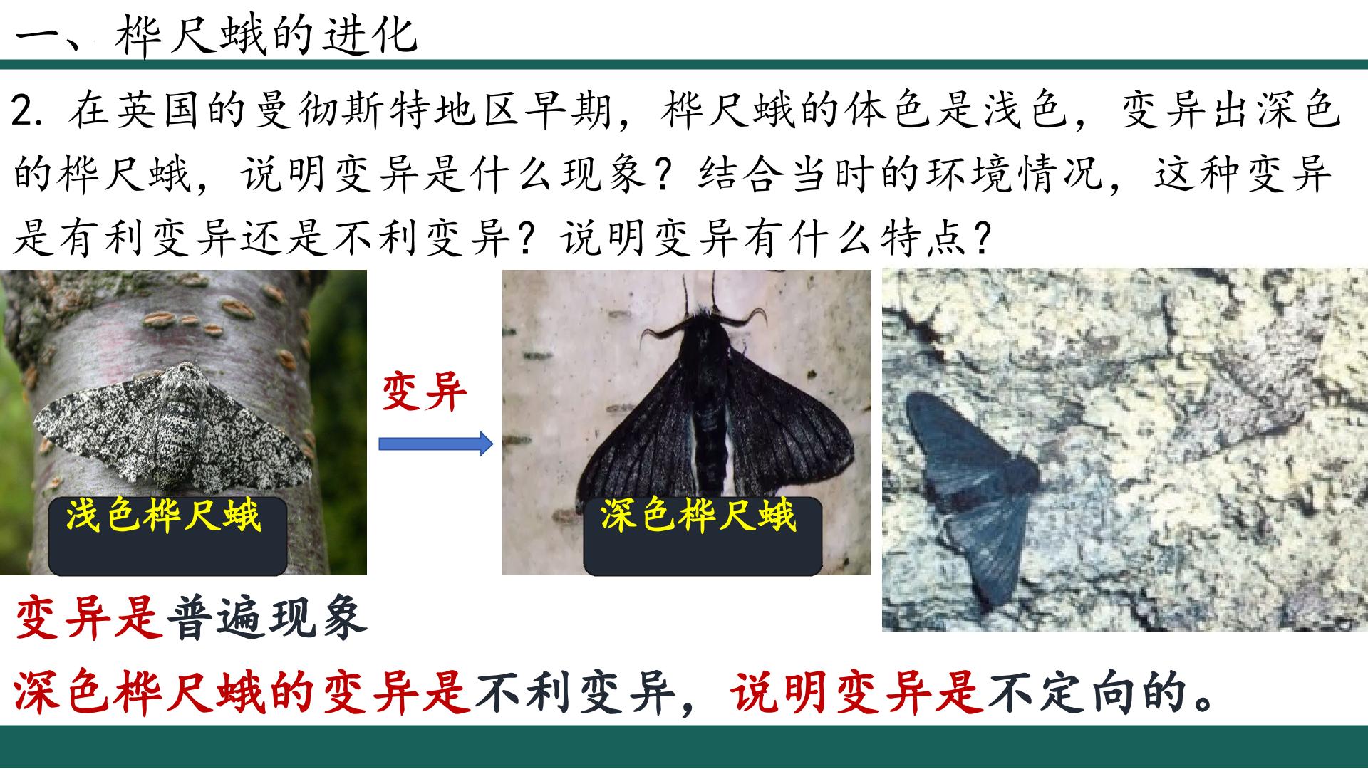 7.3.3 生物进化的原因
