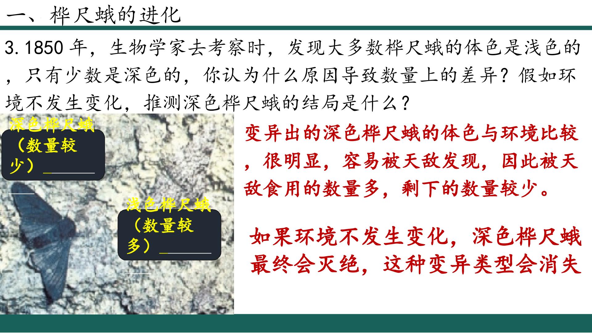 7.3.3 生物进化的原因