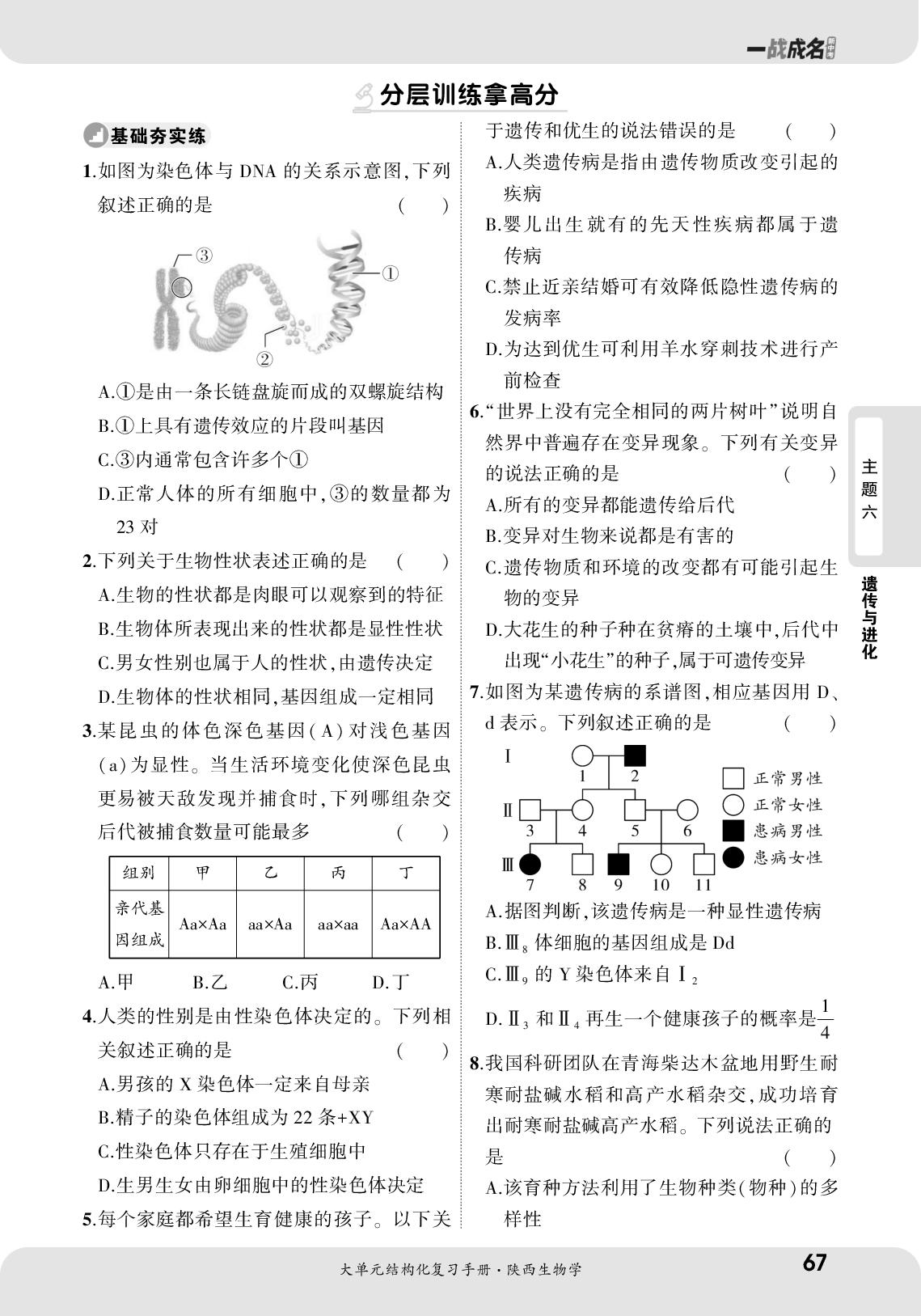 大单元2 生物的遗传与变异 强化巩固练-【一战成名新中考】2025陕西中考生物·大单元结构化复习手册