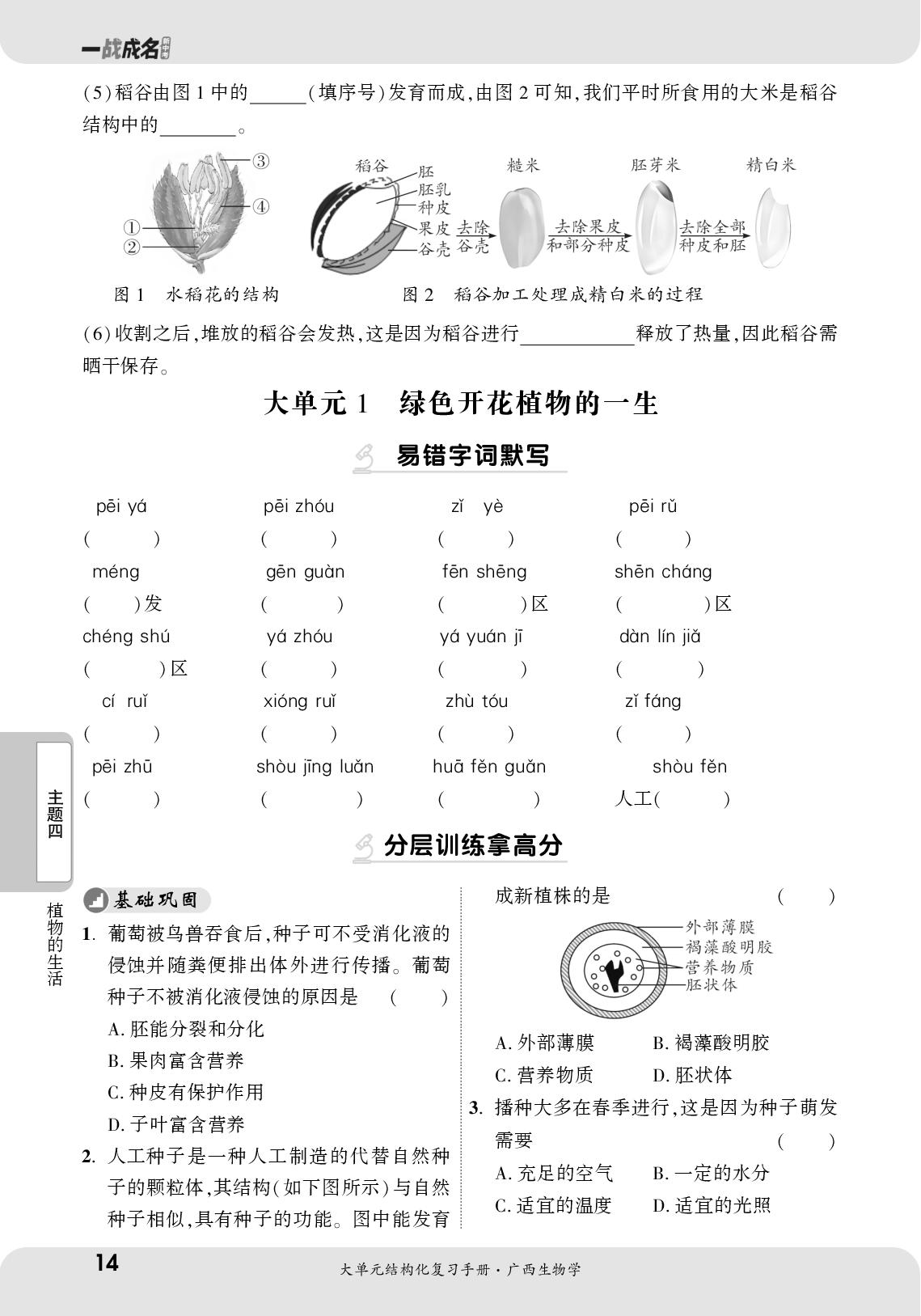大单元1 绿色开花植物的一生 强化巩固练-【一战成名新中考】2025广西中考生物·大单元结构化复习手册