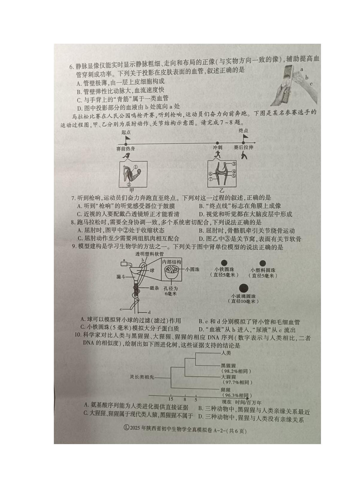 陕西省商洛市商南县丹南三校2024-2025学年八年级下学期4月期中生物试题