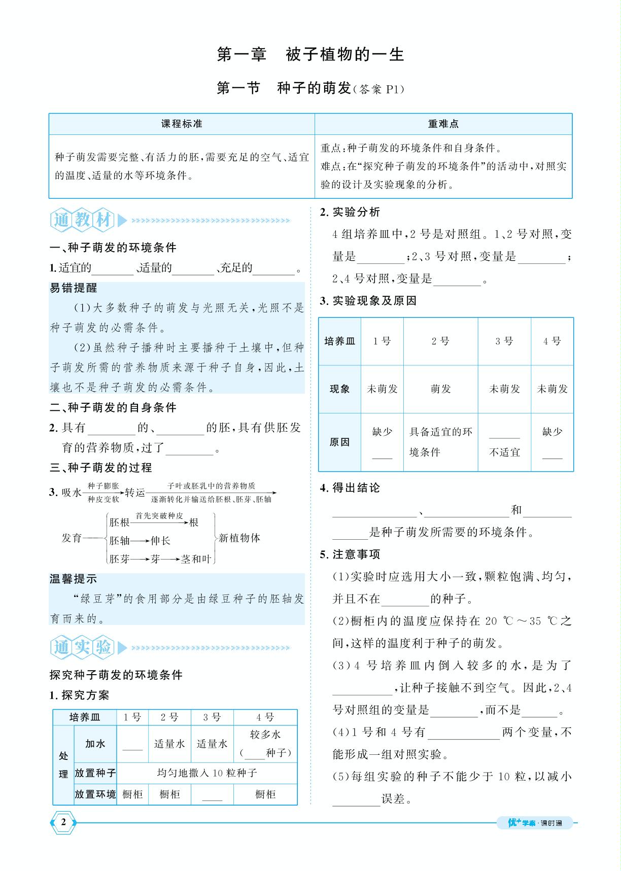 3.1.1 种子的萌发-【优+学案】2024-2025学年新教材七年级下册生物课时通(人教版2024)