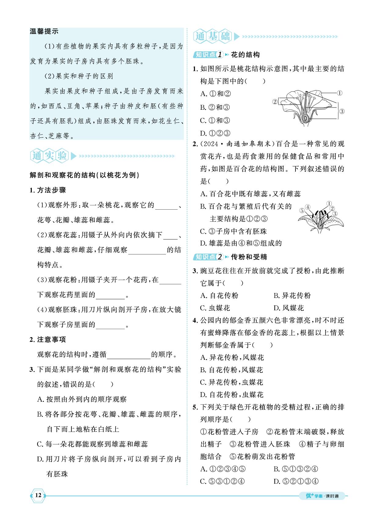 3.1.3 开花和结果-【优+学案】2024-2025学年新教材七年级下册生物课时通(人教版2024)