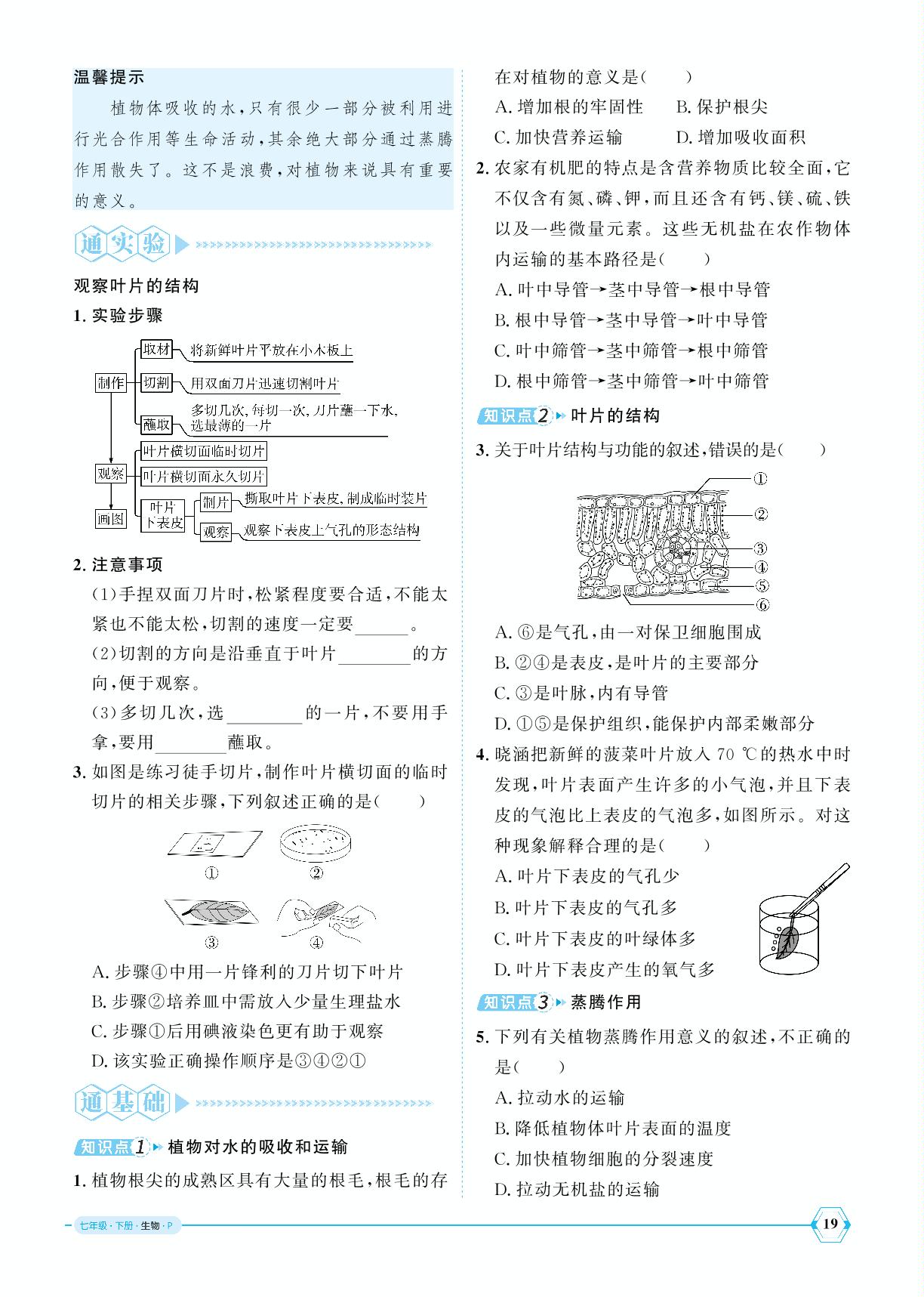 3.2.1 水的利用与散失-【优+学案】2024-2025学年新教材七年级下册生物课时通(人教版2024)
