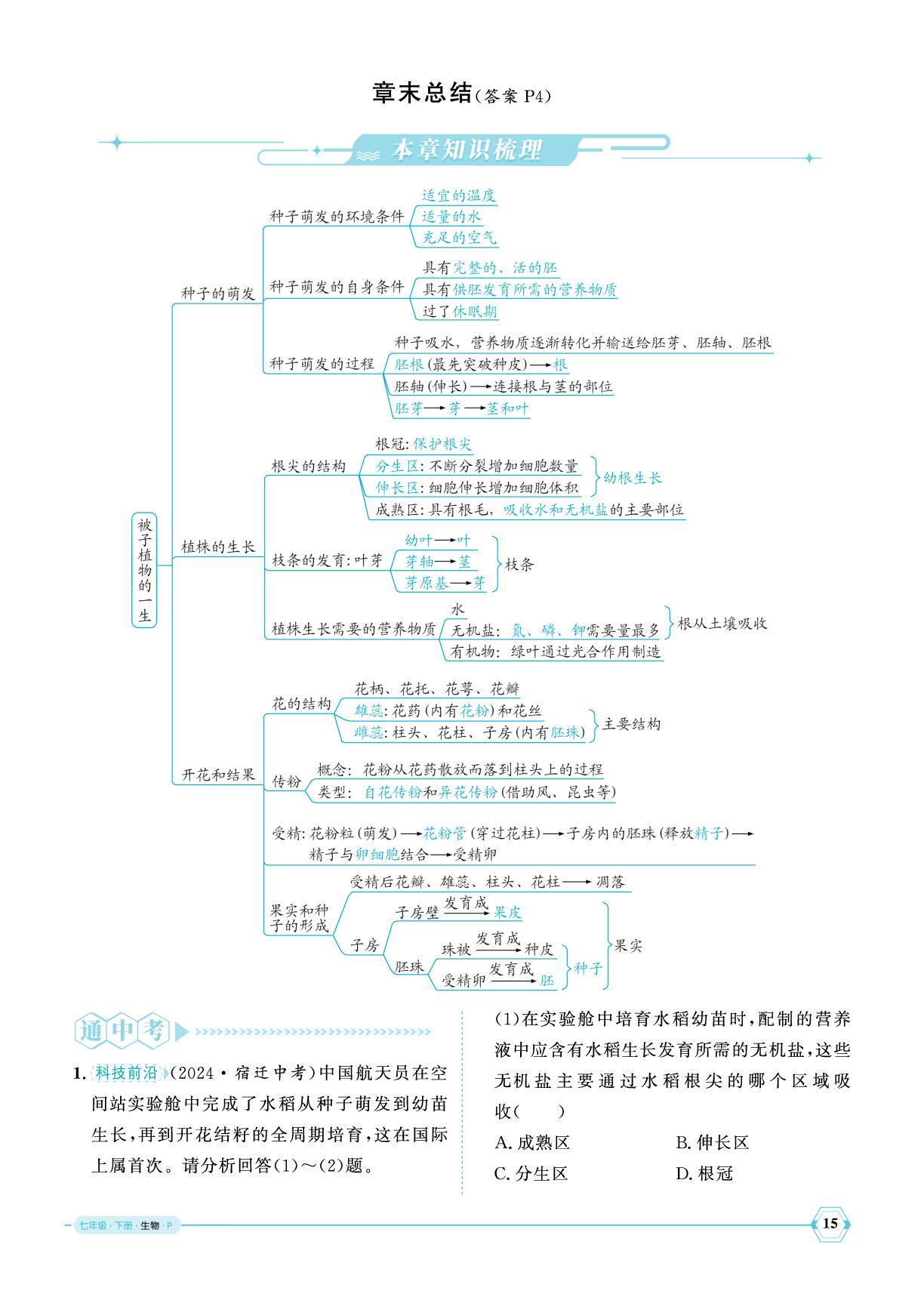 第1章 被子植物的一生章末总结-【优+学案】2024-2025学年新教材七年级下册生物课时通(人教版2024)