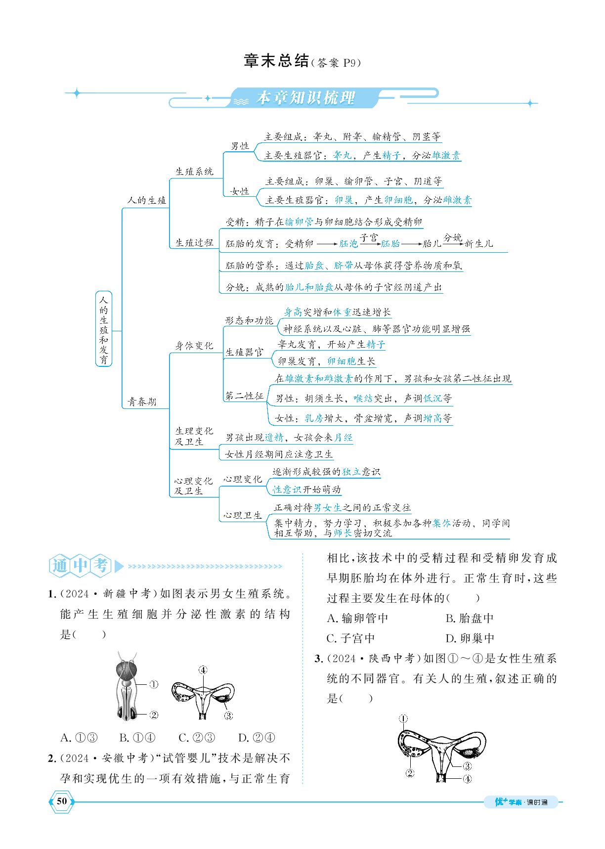 第1章 人的生殖和发育章末总结-【优+学案】2024-2025学年新教材七年级下册生物课时通(人教版2024)