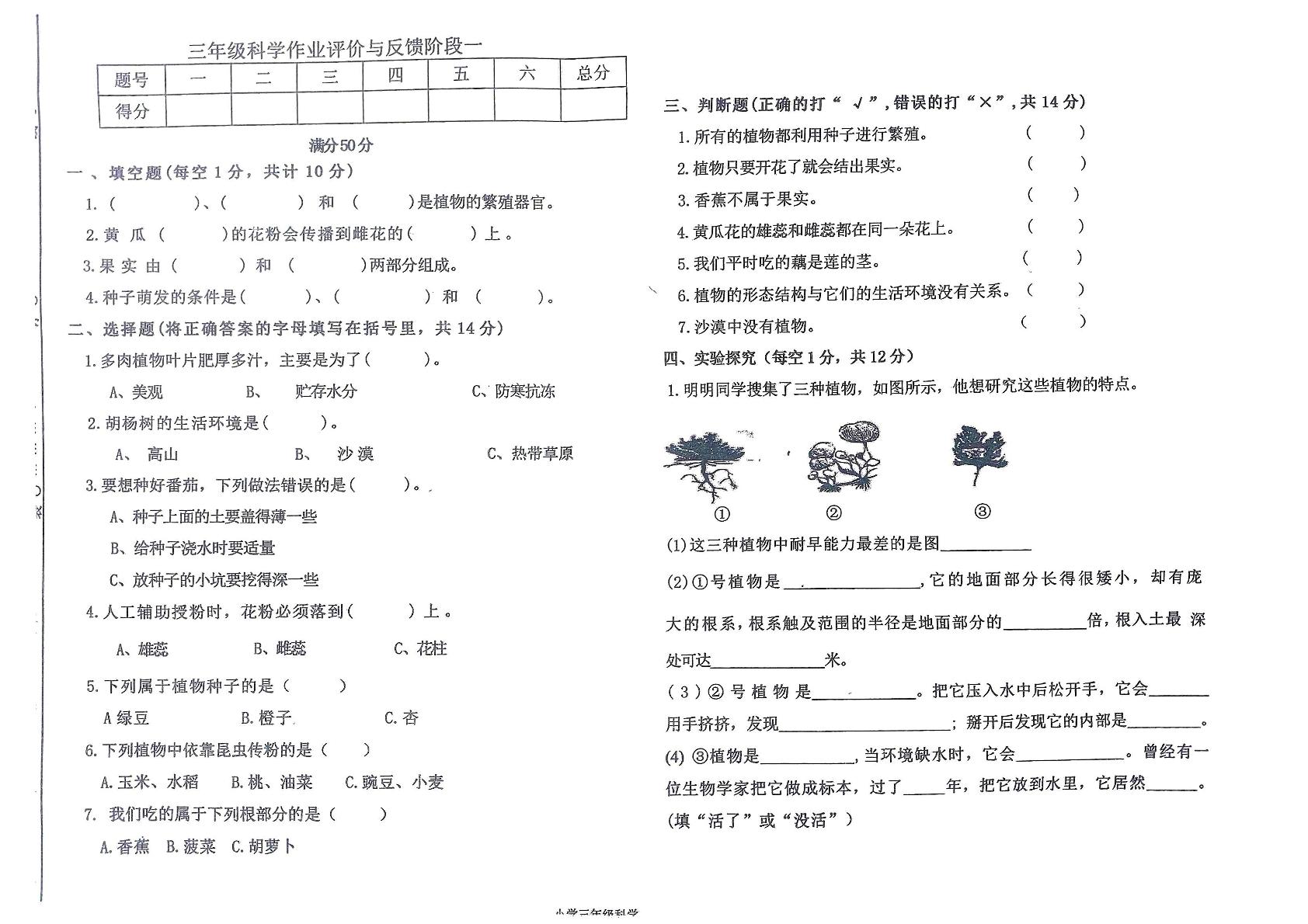 辽宁省沈阳市法库县2024-2025学年三年级下学期5月期中科学试题