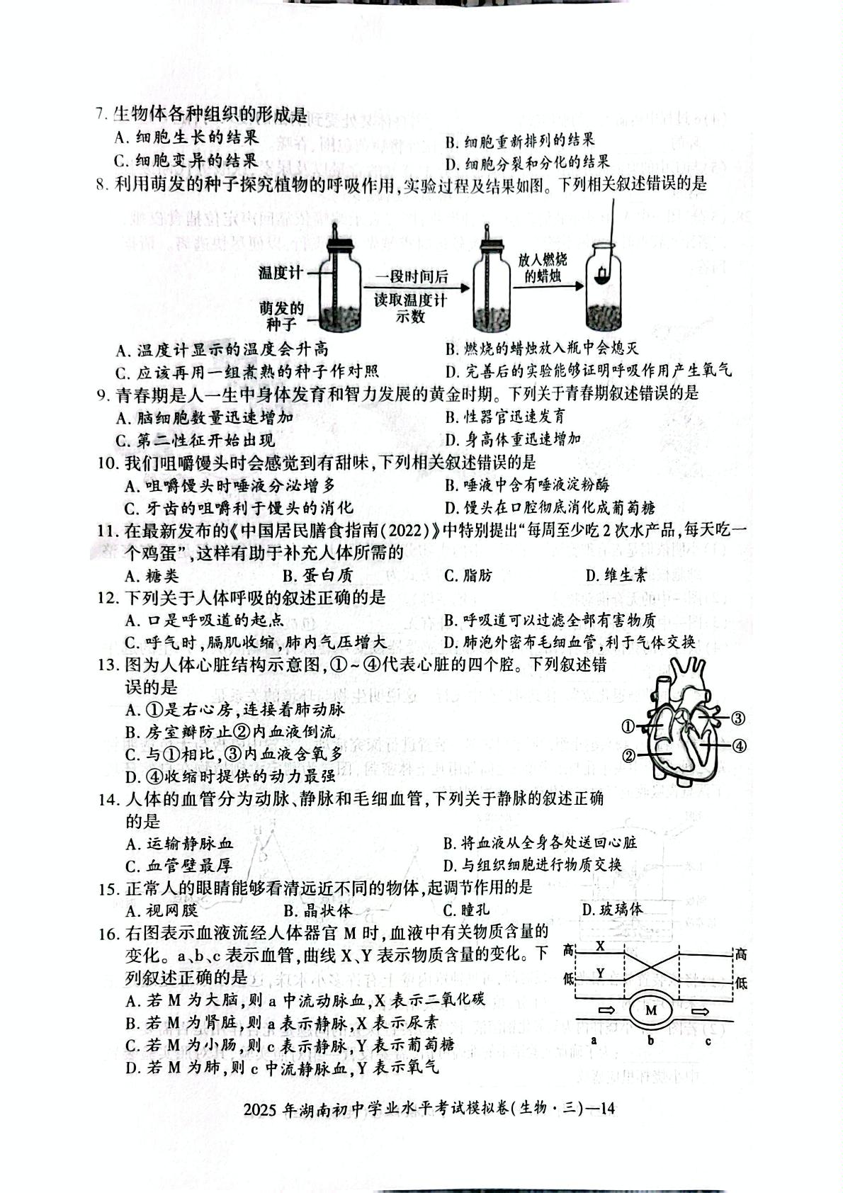 2025年湖南省邵阳市邵东市振华中学八年级三模生物试题