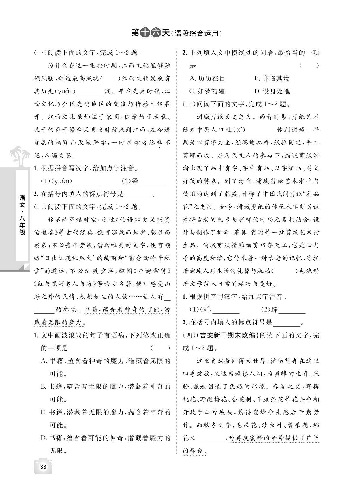 第十六天(语段综合运用)-【魔力暑假A计划】2024-2025学年八年级下册语文暑假作业（统编版）