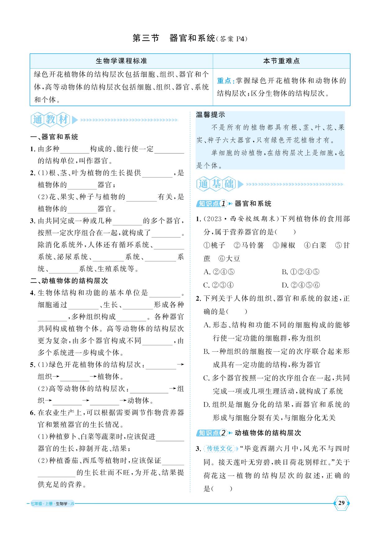 1.2.3 器官和系统-【优+学案】2024-2025学年新教材七年级上册生物课时通(冀少版2024)