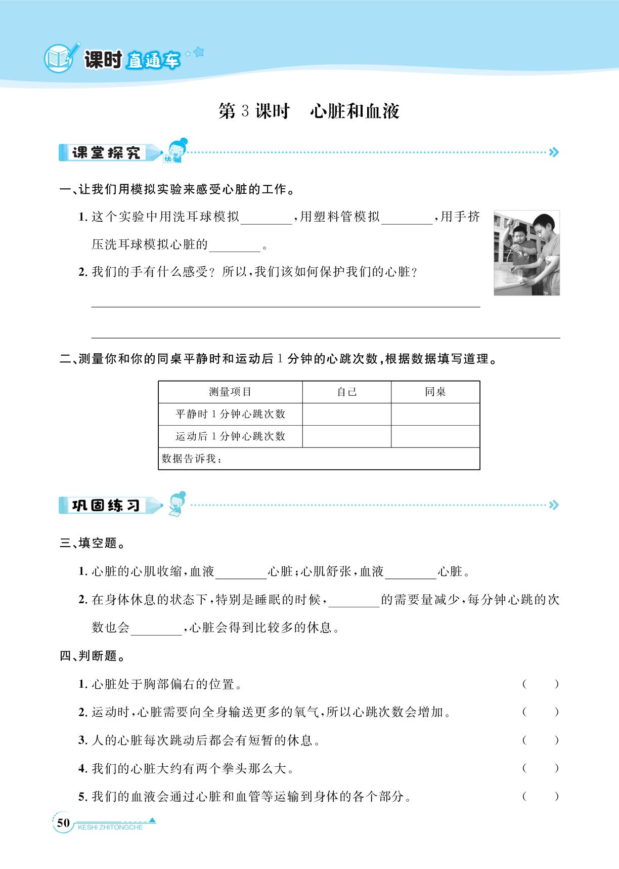 第3课时 心脏和血液-【课时直通车】2024-2025学年五年级上册科学（教科版）浙江专版