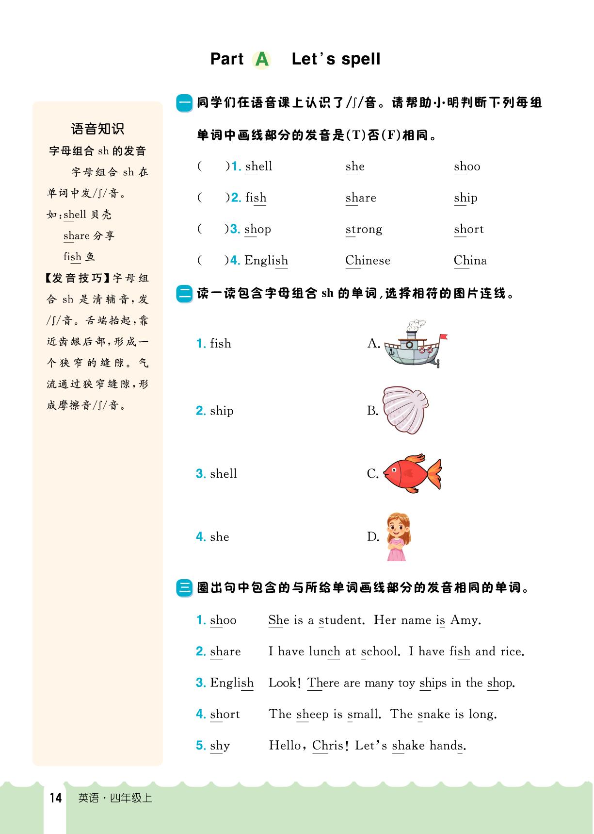 Unit 2 My friends-【探究学案】2025-2026学年新教材四年级上册英语同步训练（人教PEP版2024）