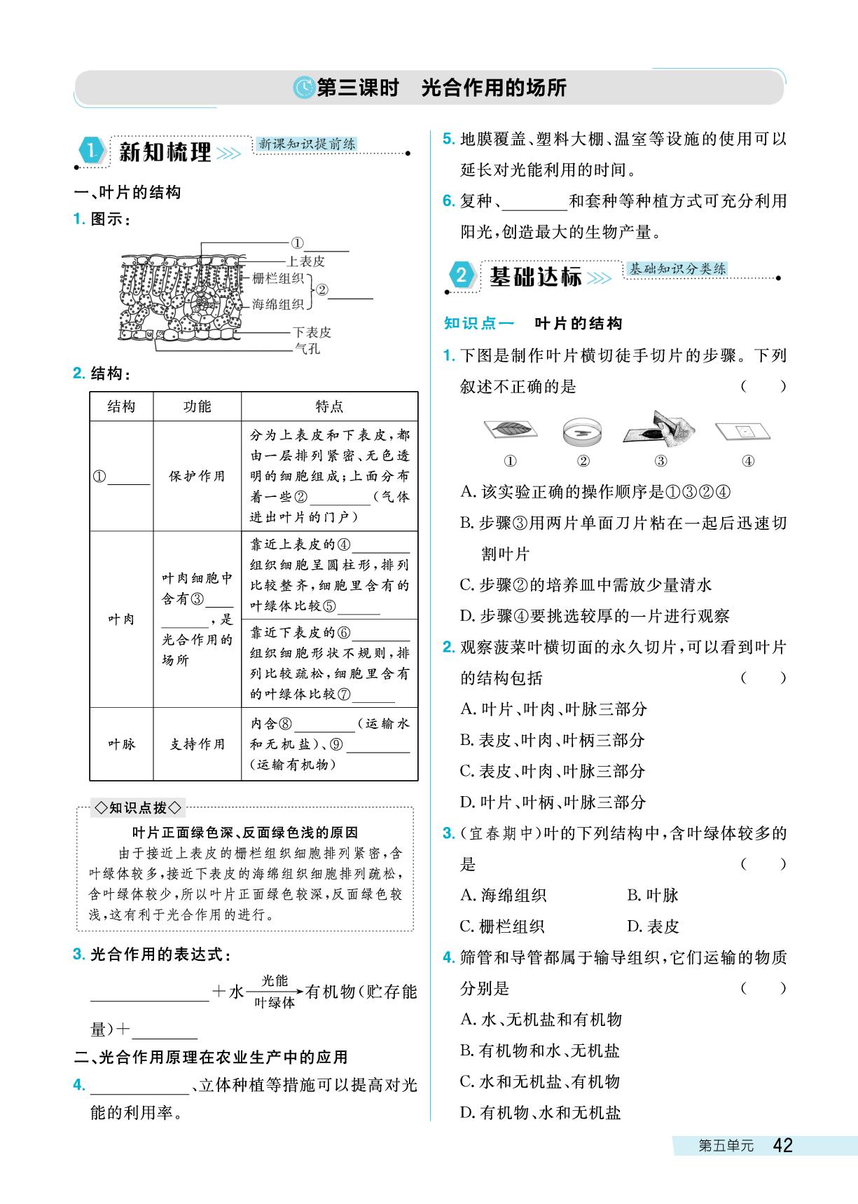 第5单元 第3章 第1节 第3课时 光合作用的场所-【探究在线】2025-2026学年新教材八年级上册生物高效课堂导学案（冀少版2024）
