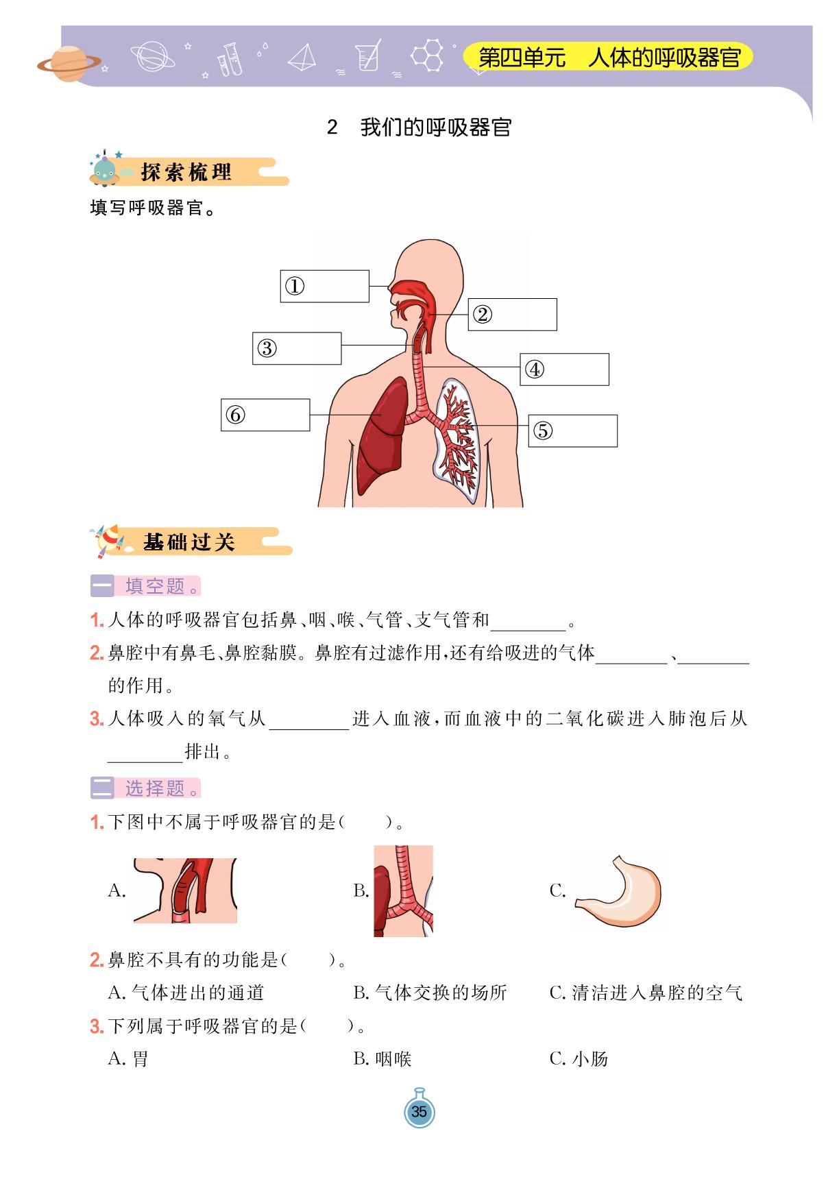 第4单元 2 我们的呼吸器官-【黄冈名师·天天练】2025-2026学年四年级上册科学（大象版2017）