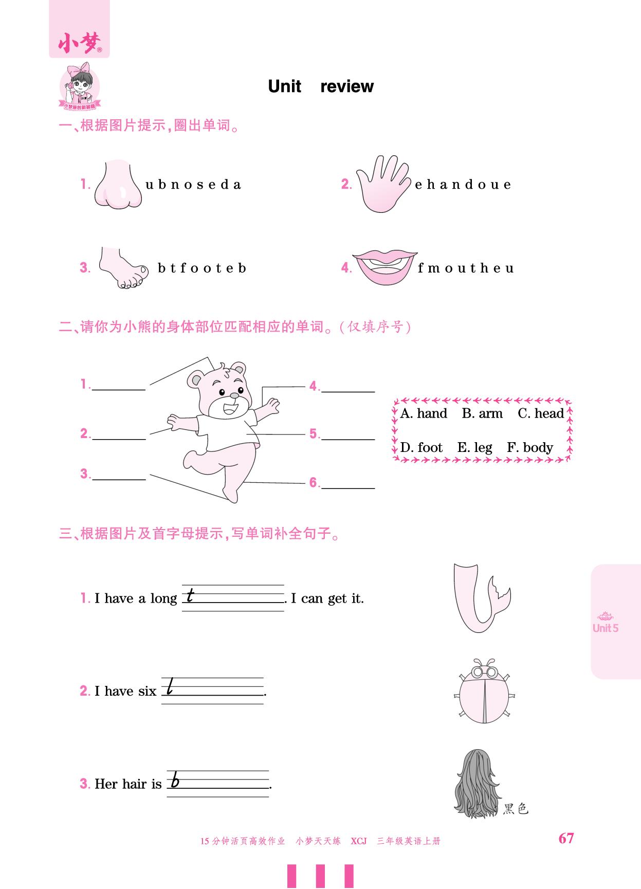 Unit 5 About me review-【小梦天天练】2025-2026学年新教材三年级上册英语活页小学同步练习（冀教版 三起2024）