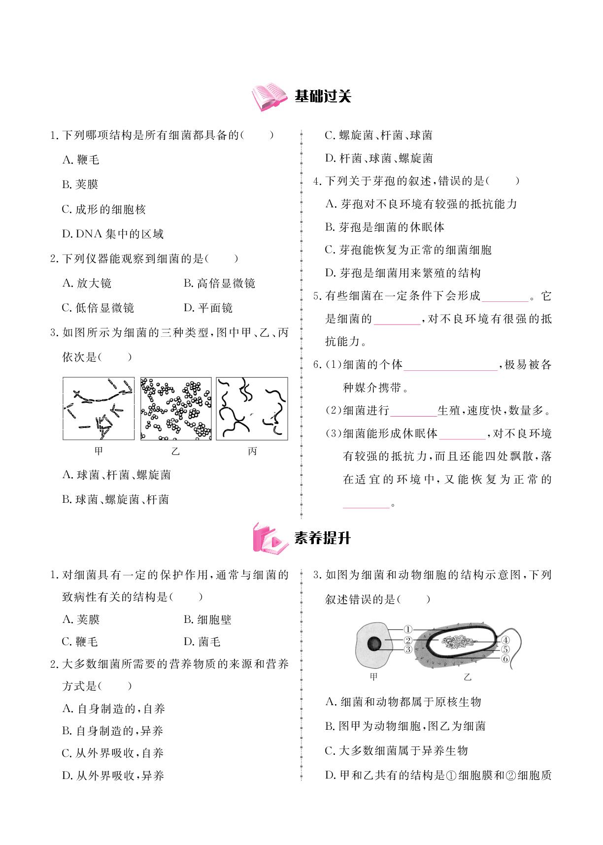 2.3.2 细菌-2025-2026学年新教材七年级上册生物同步辅导（人教版2024）