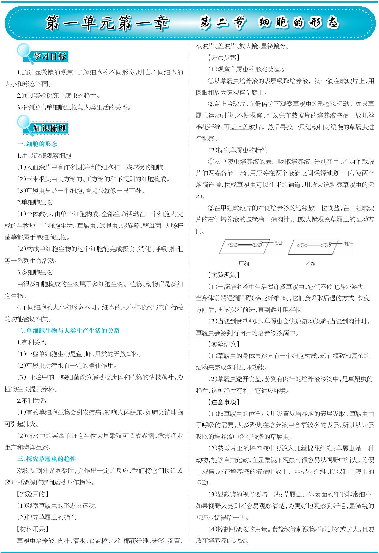 1.1.2 细胞的形态（含同步练习）-【少年素质教育报】2025-2026学年新教材七年级上册生物一本通（冀少版2024）