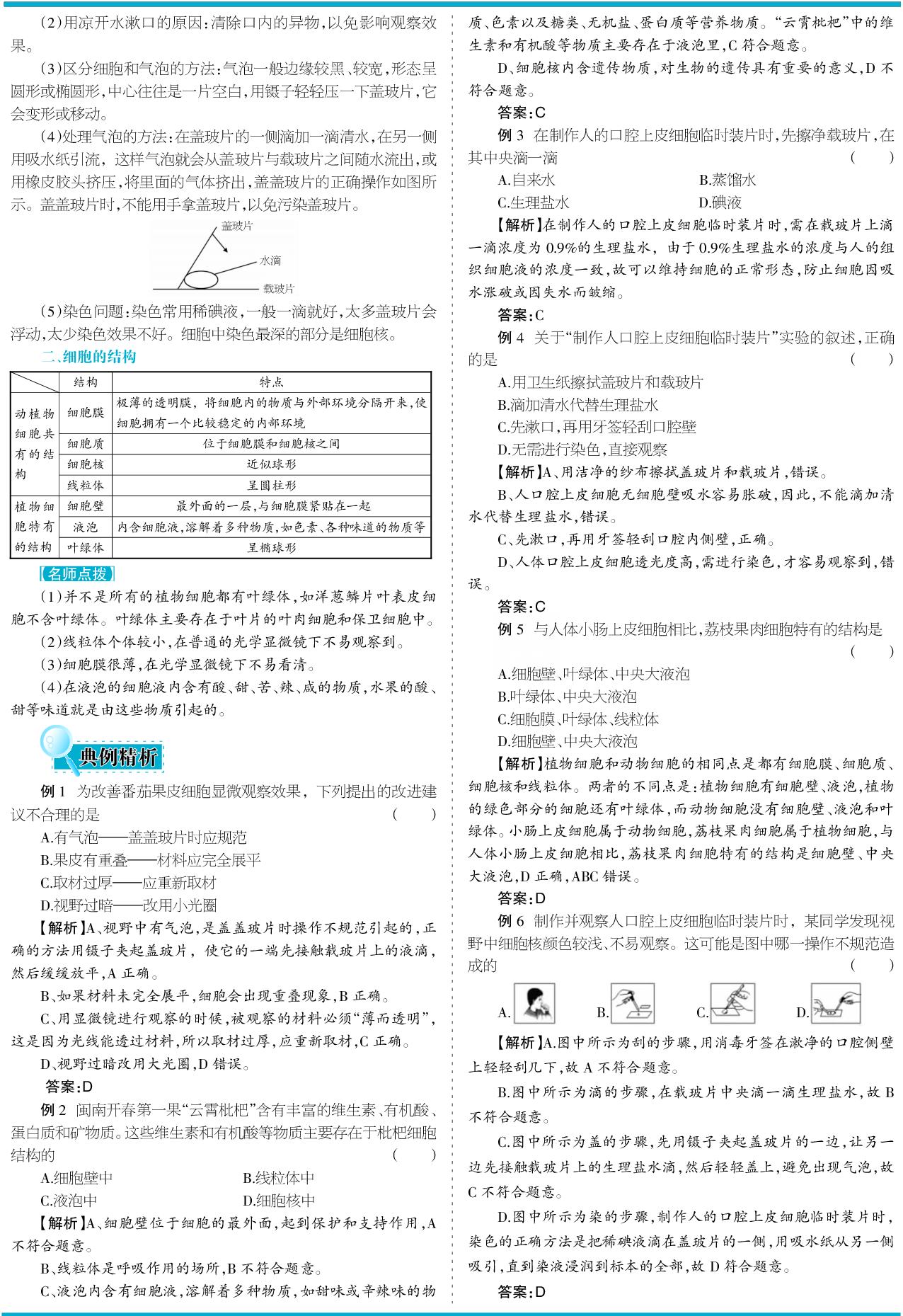 1.1.3 细胞的结构（含同步练习）&综合实践-【少年素质教育报】2025-2026学年新教材七年级上册生物一本通（冀少版2024）
