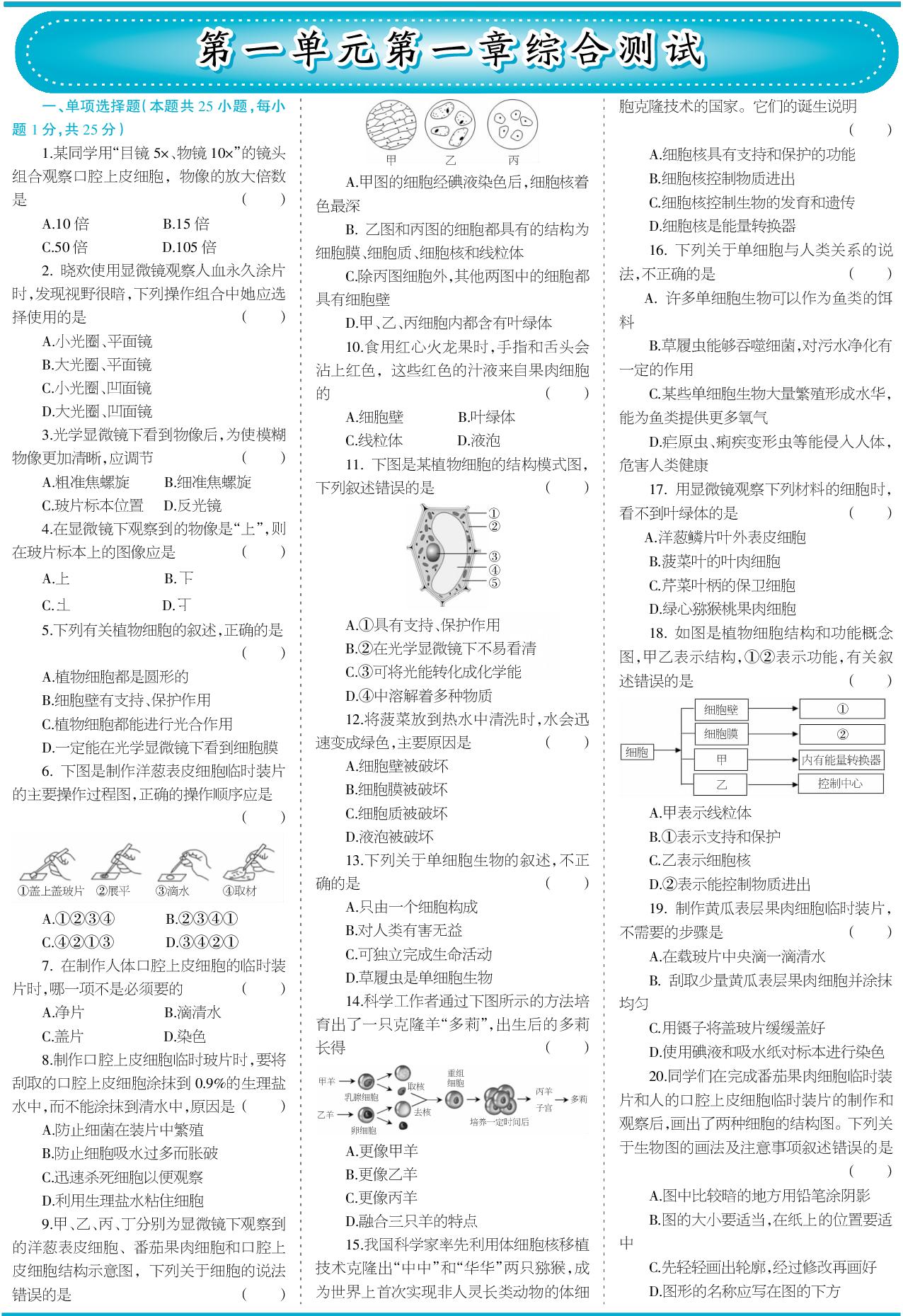第1单元 第1章 细胞 综合测试-【少年素质教育报】2025-2026学年新教材七年级上册生物一本通（冀少版2024）