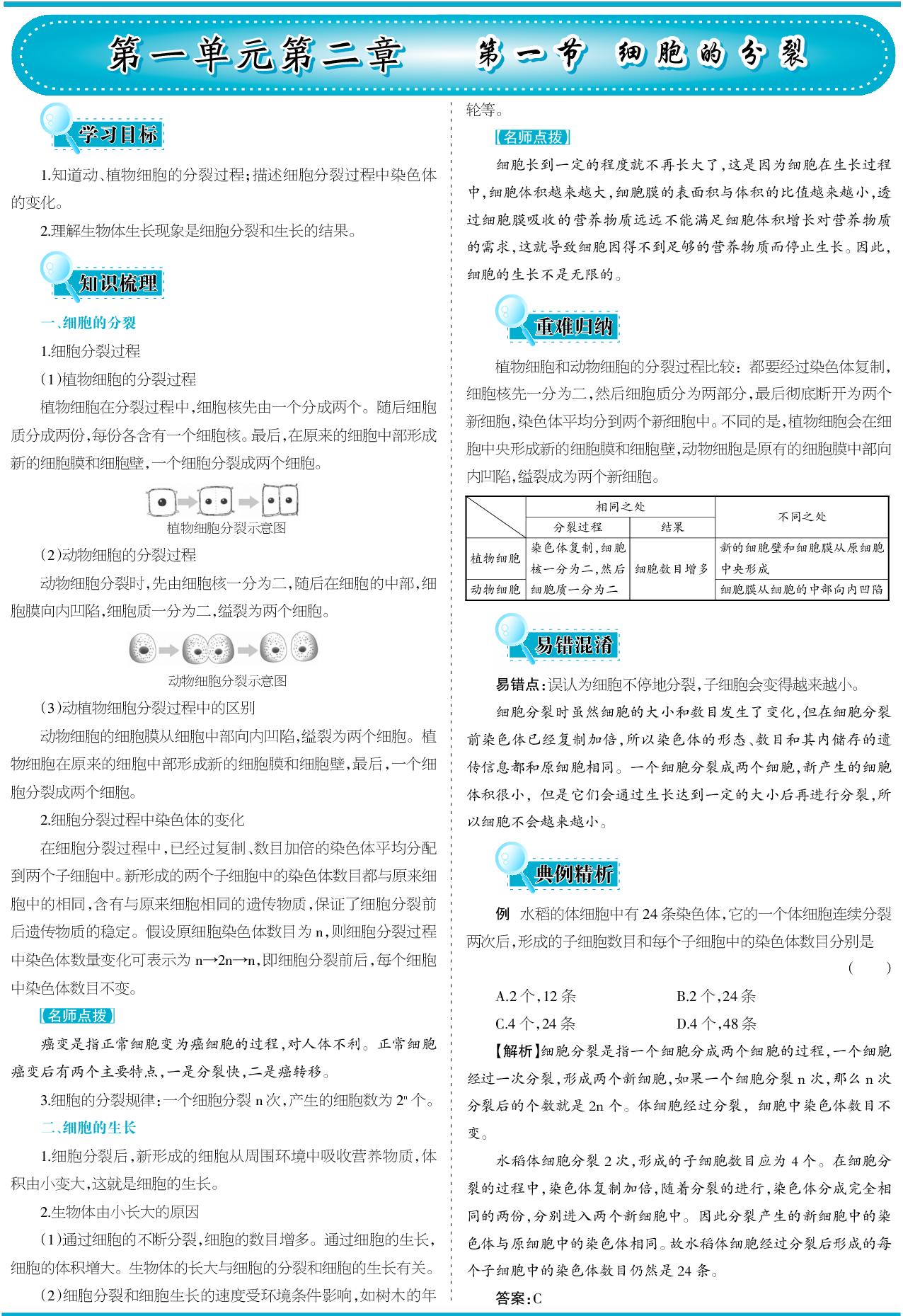 1.2.1 细胞的分裂（含同步练习）-【少年素质教育报】2025-2026学年新教材七年级上册生物一本通（冀少版2024）