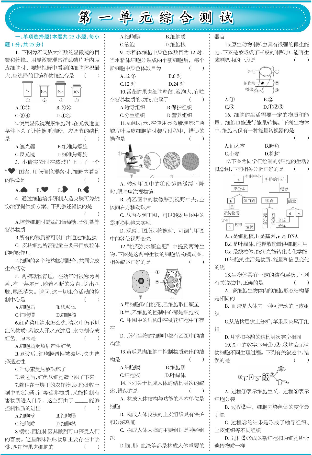 第1单元 生物体的结构层次 综合测试-【少年素质教育报】2025-2026学年新教材七年级上册生物一本通（冀少版2024）