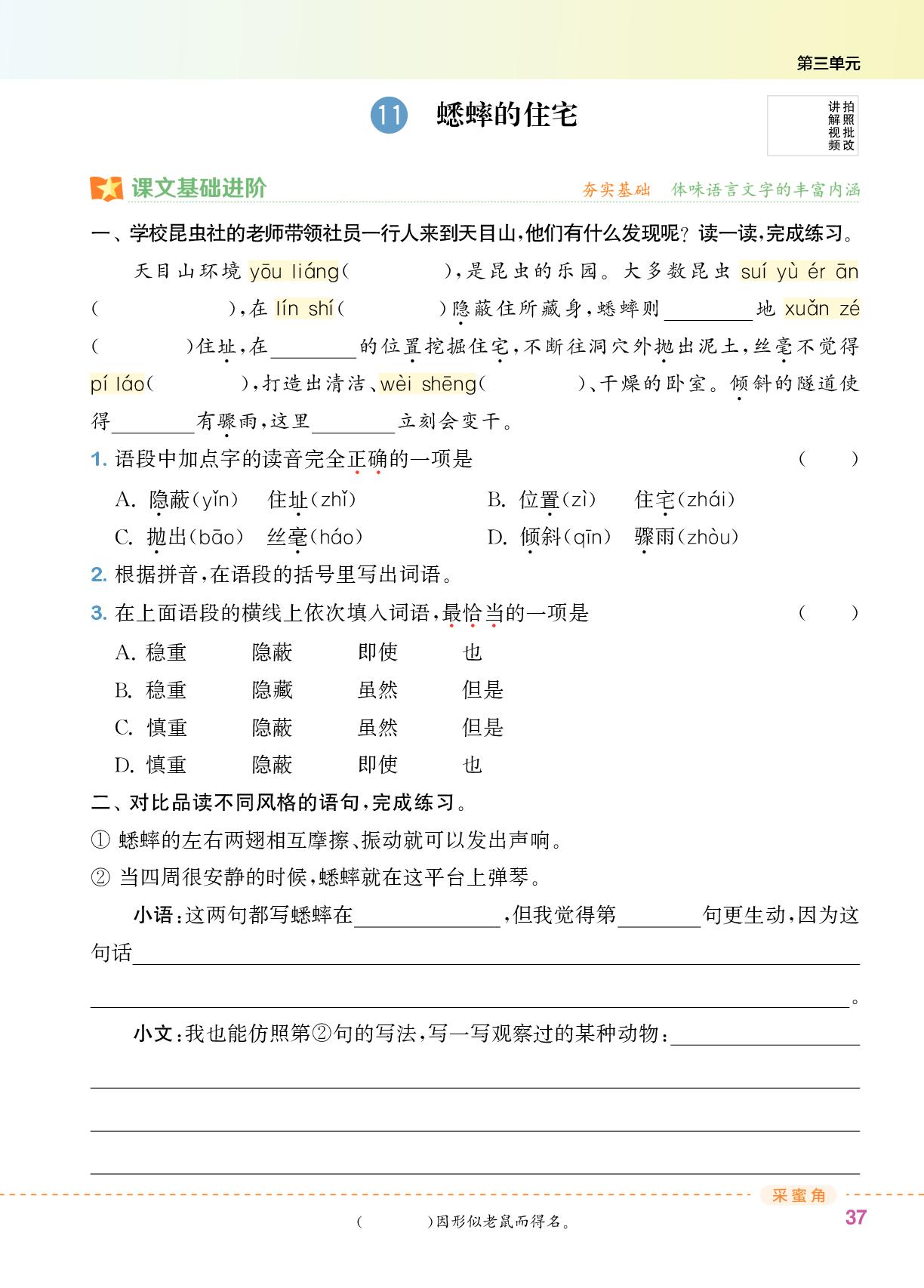 11 蟋蟀的住宅-【拔尖特训】2025-2026学年四年级上册语文（统编版 广东专版）