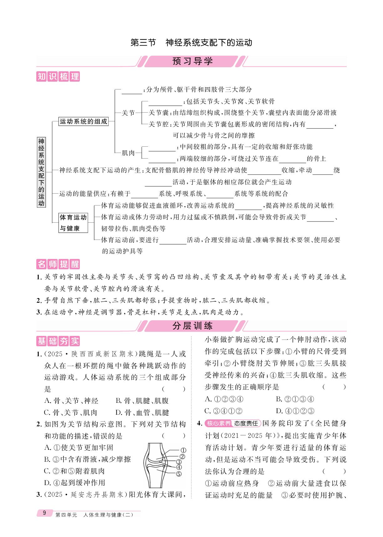 4.6.3 神经系统支配下的运动-【鸿鹄志·名师测控】2025-2026学年新教材八年级上册生物（人教版2024 陕西专版）