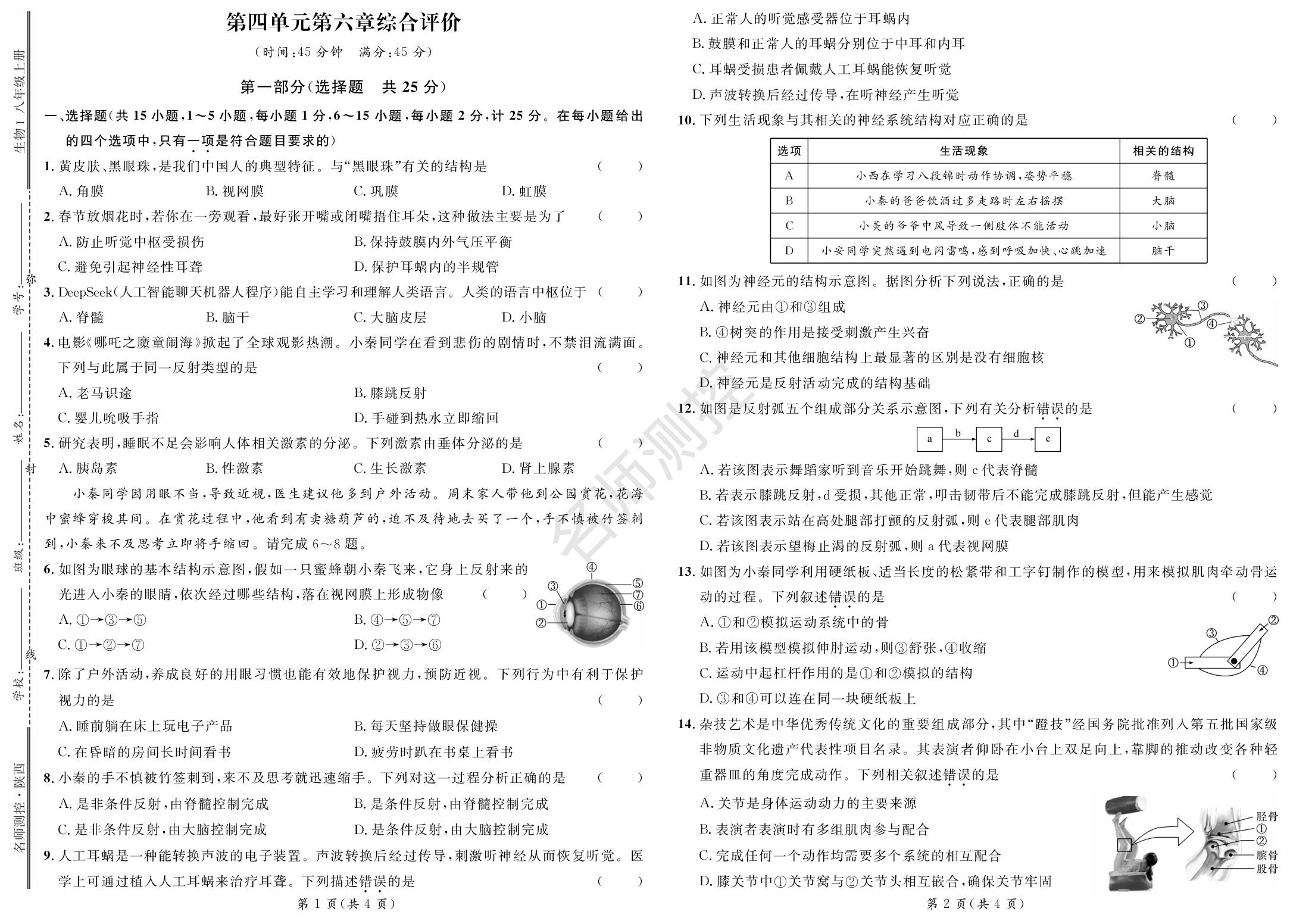 第四单元 第六章 人体生命活动的调节 综合评价-【鸿鹄志·名师测控】2025-2026学年新教材八年级上册生物（人教版2024 陕西专版）