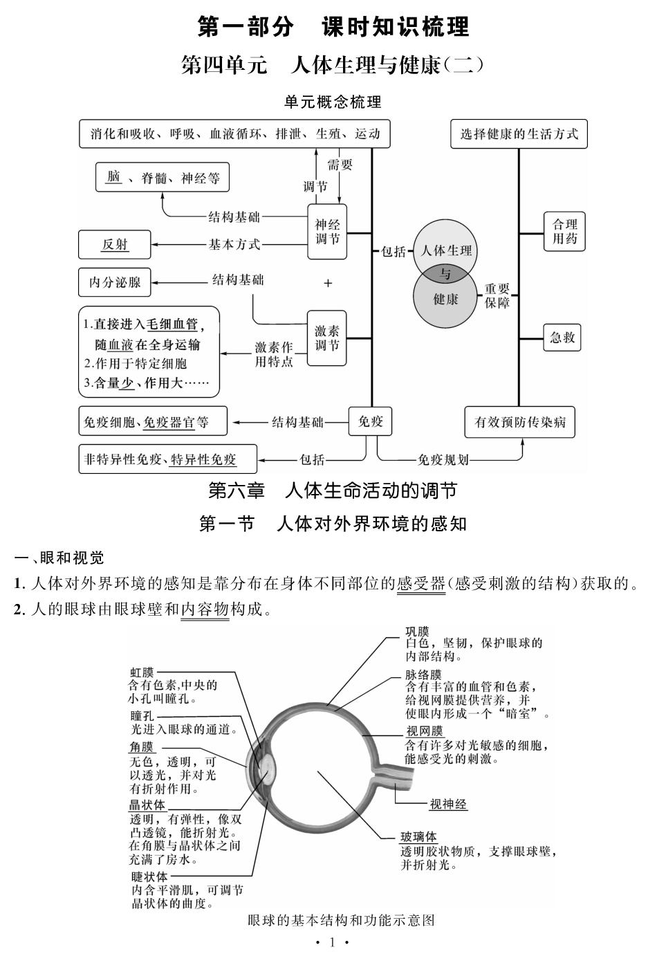 第四单元 第六章 人体生命活动的调节 知识梳理-【鸿鹄志·名师测控】2025-2026学年新教材八年级上册生物（人教版2024 陕西专版）