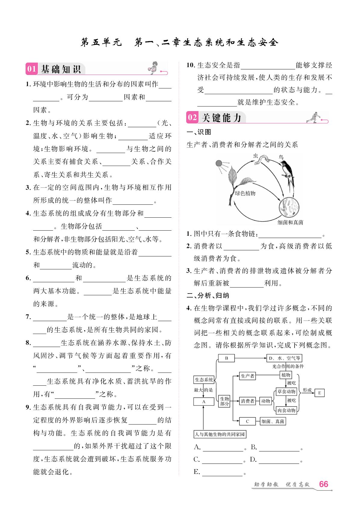 期末专题复习 第5单元 第1、2章 生态系统和生态安全-【名师学案】2025-2026学年新教材八年级上册生物分层进阶学习法（人教版2024）