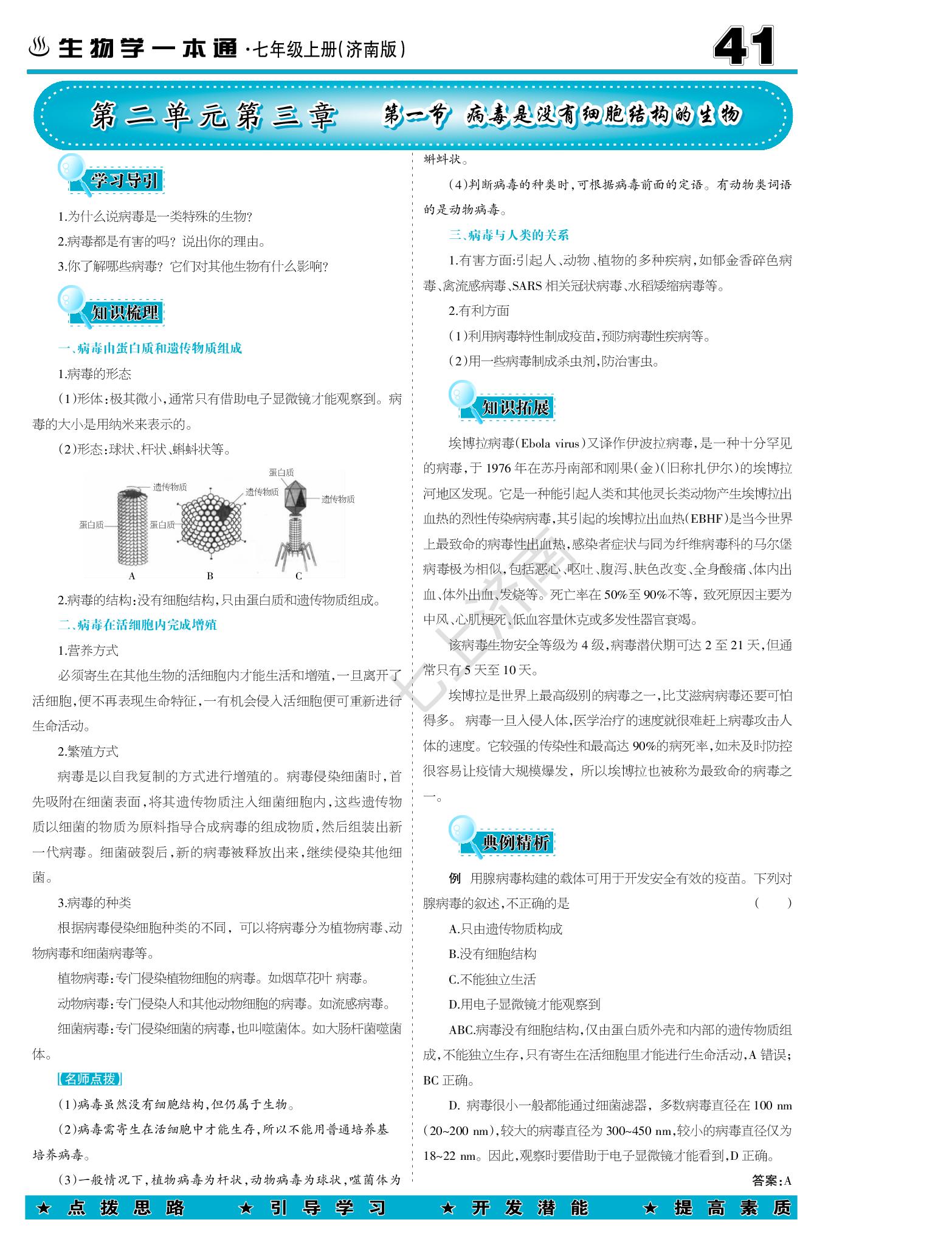 2.3.1 病毒是没有细胞结构的生物-【少年素质教育报】2025-2026学年新教材七年级上册生物一本通（济南版2024）