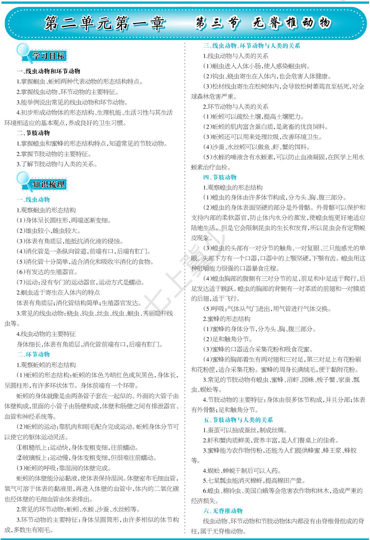2.1.3 无脊椎动物-【少年素质教育报】2025-2026学年新教材七年级上册生物一本通（冀少版2024）
