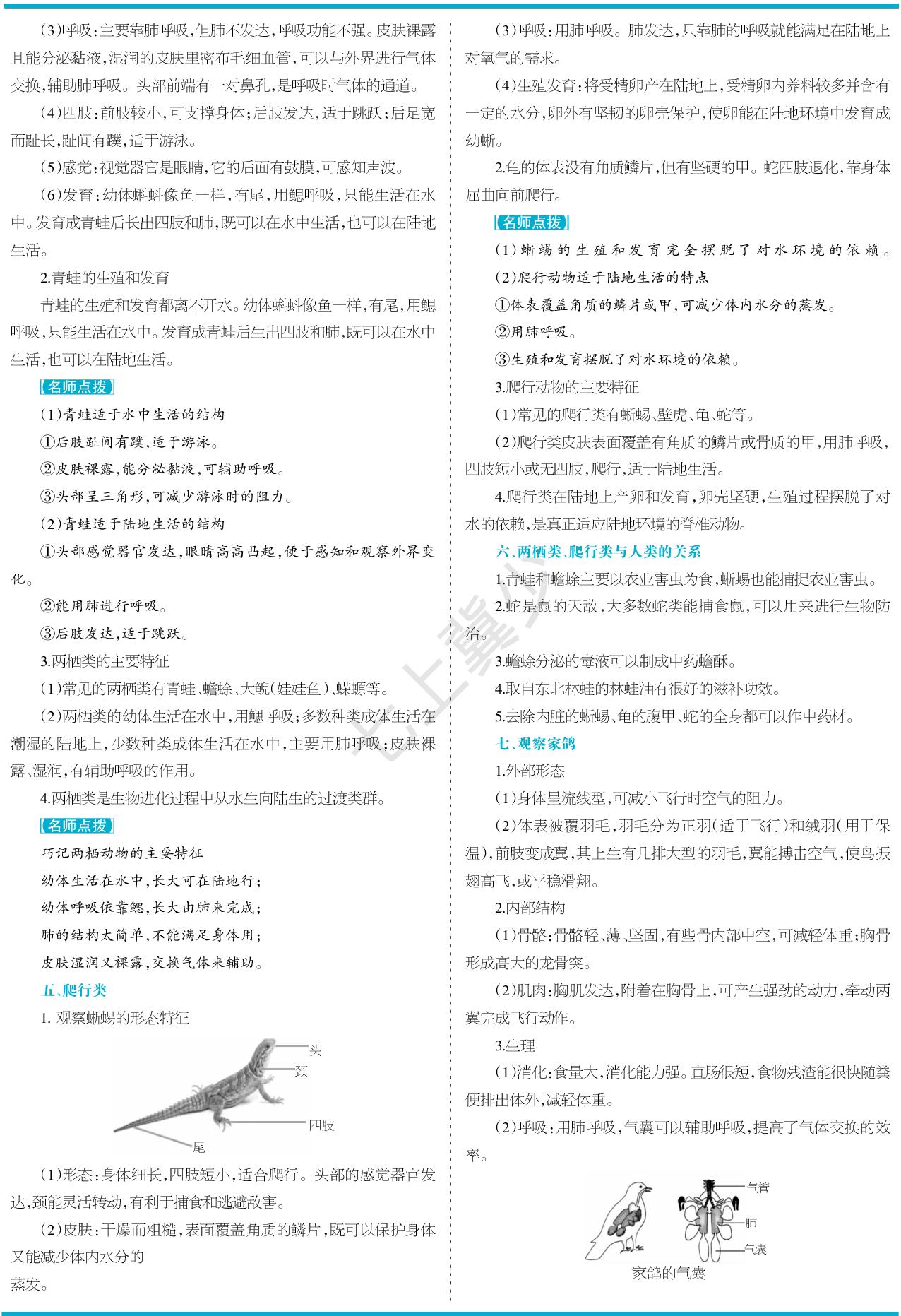 2.1.4 脊椎动物-【少年素质教育报】2025-2026学年新教材七年级上册生物一本通（冀少版2024）