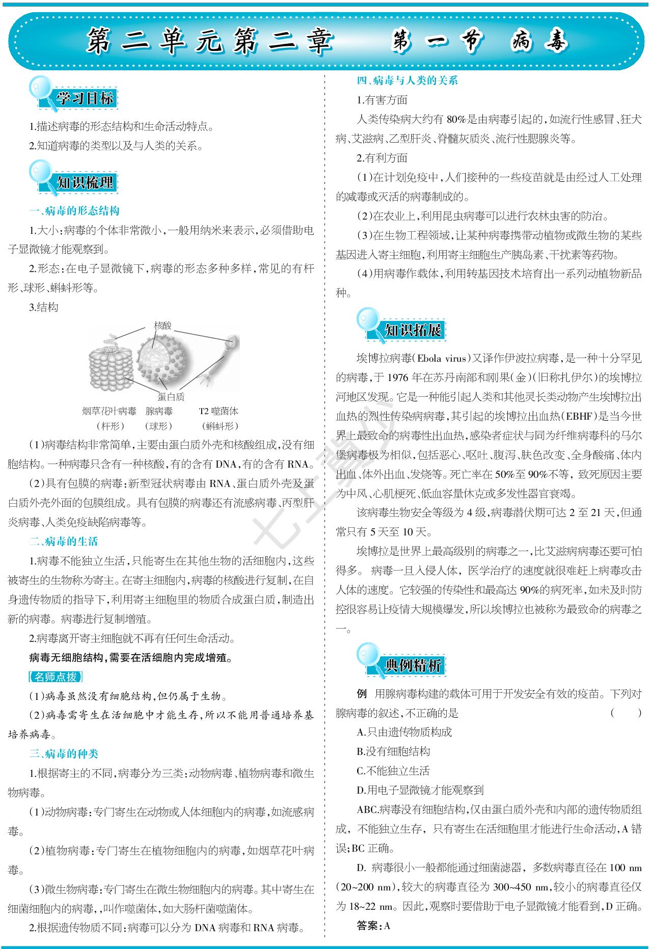 2.2.1 病毒-【少年素质教育报】2025-2026学年新教材七年级上册生物一本通（冀少版2024）