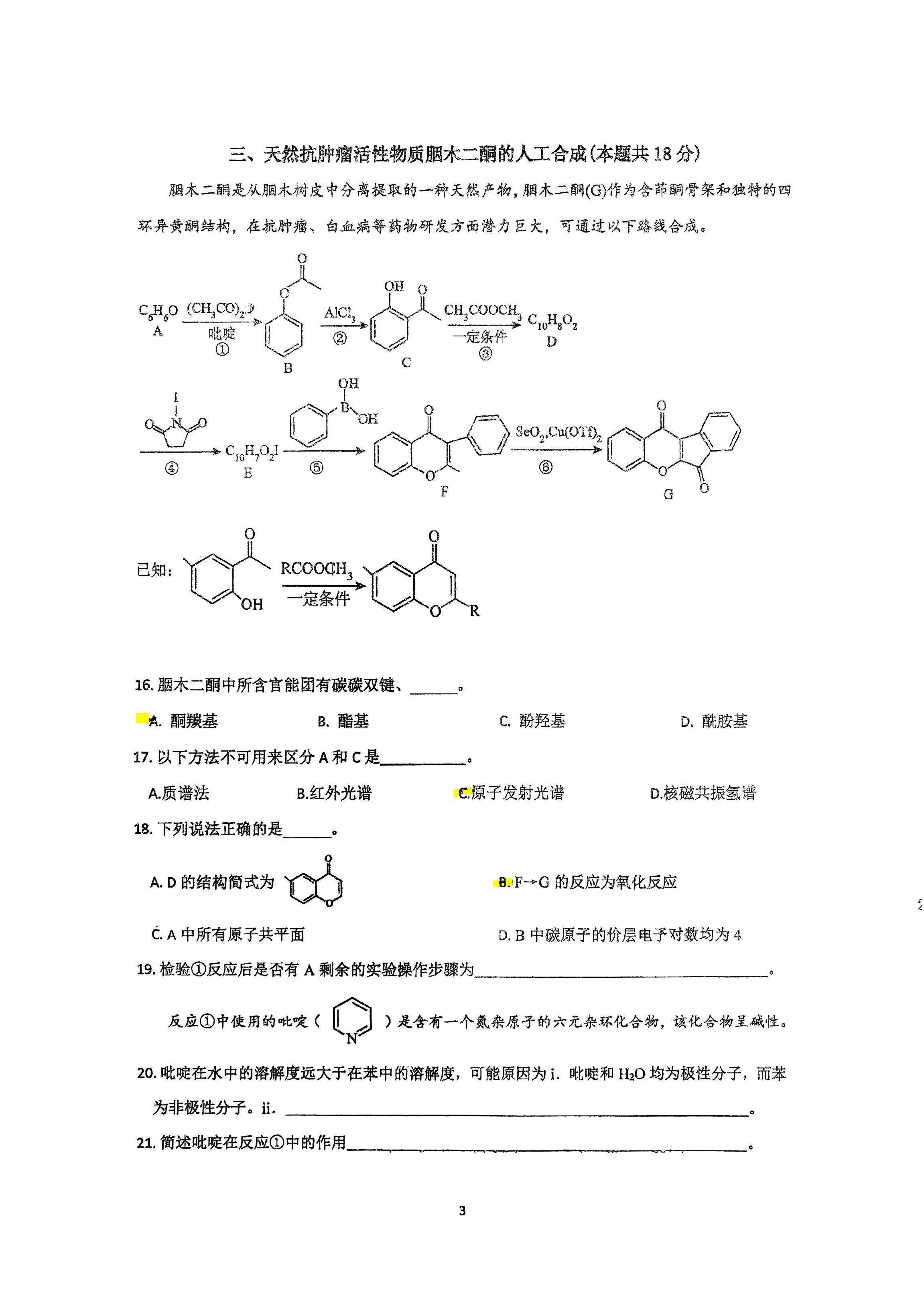 上海市新中高级中学2026届高三上学期期中化学试题