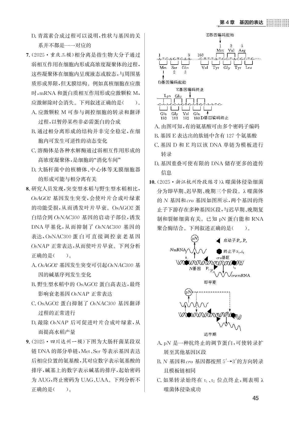 第4章 基因的表达单元学能测评-【重难点手册】2025-2026学年高中生物必修第二册同步练习册（人教版）