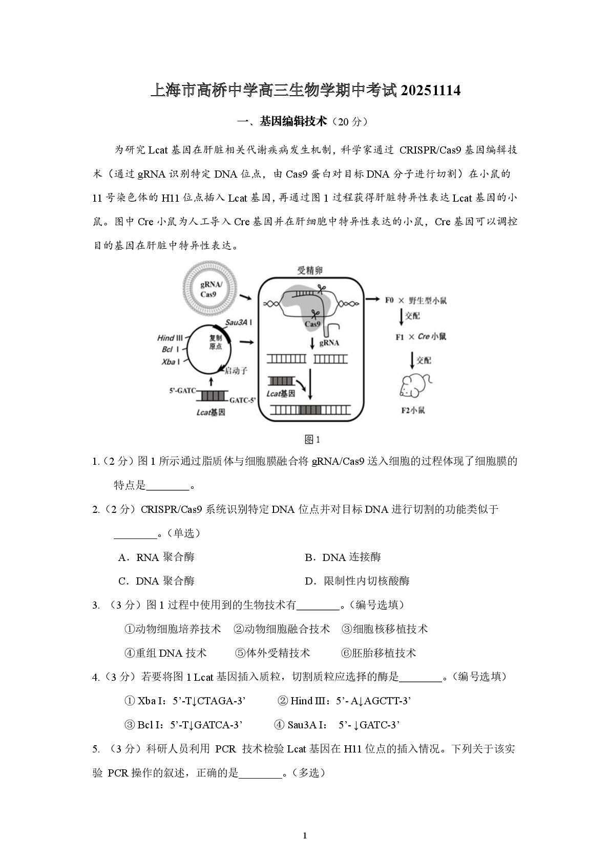 上海市高桥中学2025-2026学年高三上学期11月期中生物学试题