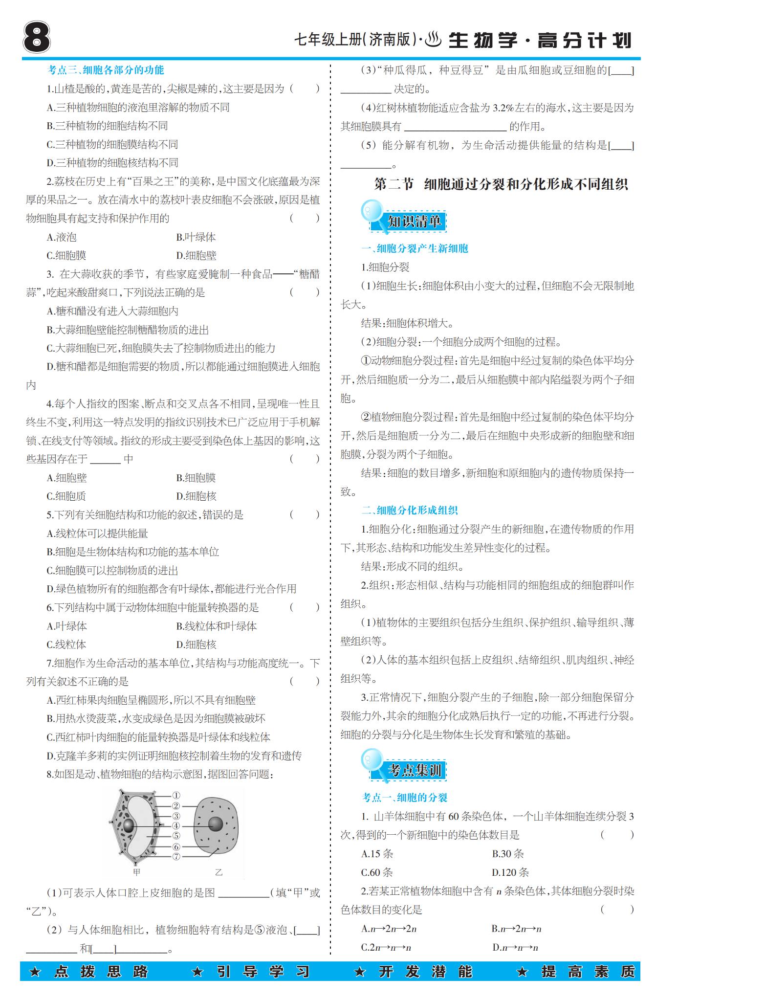 专题二 生物体具有一定的结构层次-【少年素质教育报】2025-2026学年七年级上册生物高分计划（济南版·新教材）