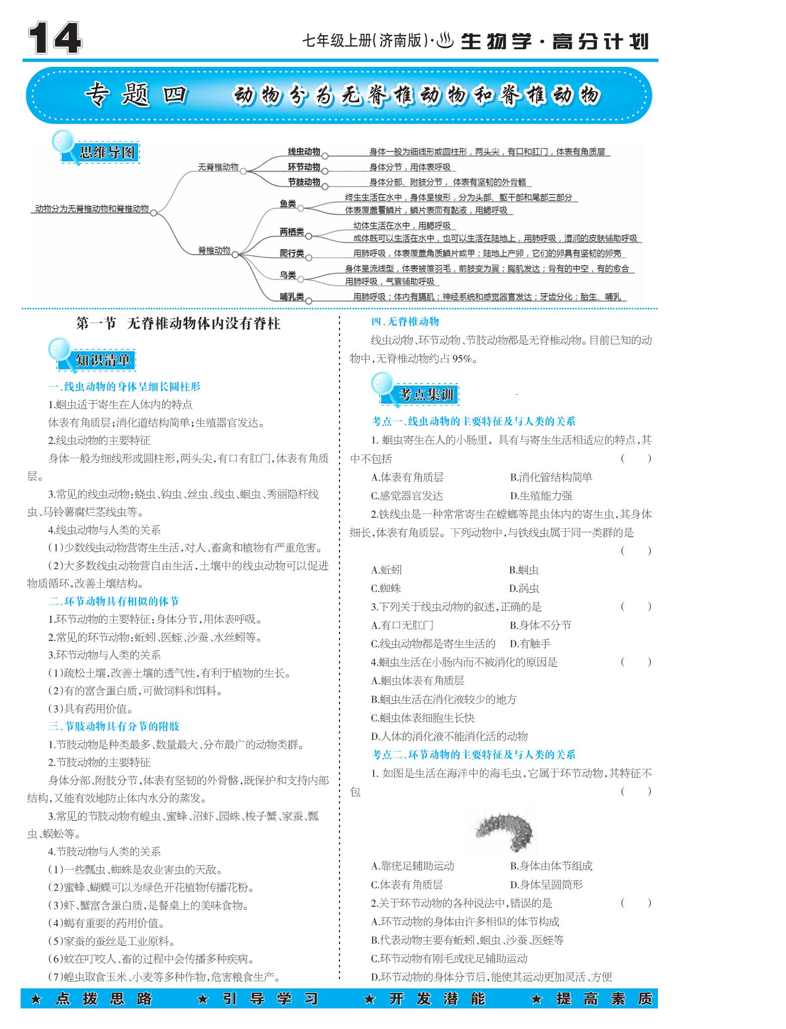 专题四 动物分为无脊椎动物和脊椎动物-【少年素质教育报】2025-2026学年七年级上册生物高分计划（济南版·新教材）