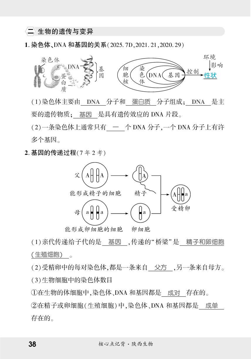 6.2 生物的遗传与变异&6.3 生命起源和生物进化-【一战成名新中考】2026陕西中考生物·一轮复习·核心点记背