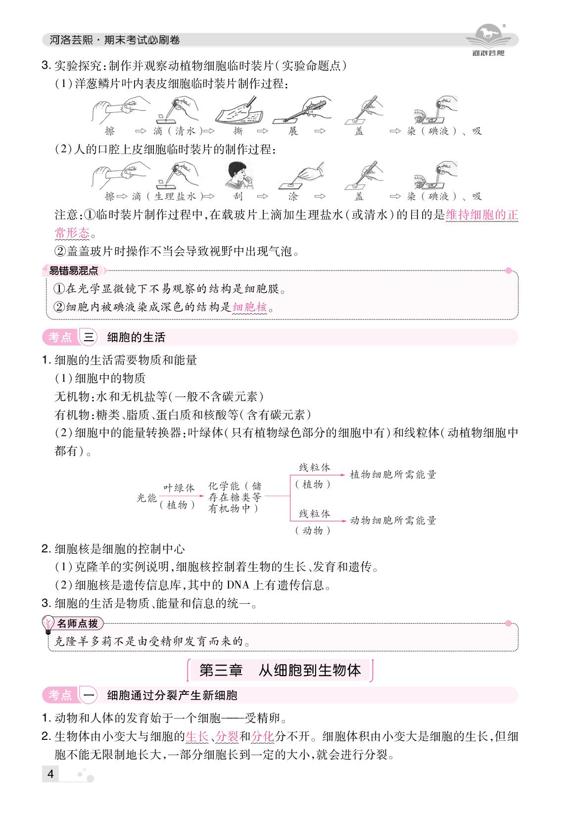 名师划重点-【芸熙百分】2025-2026学年七年级生物上册期末必刷卷（人教版·新教材）郑州专版