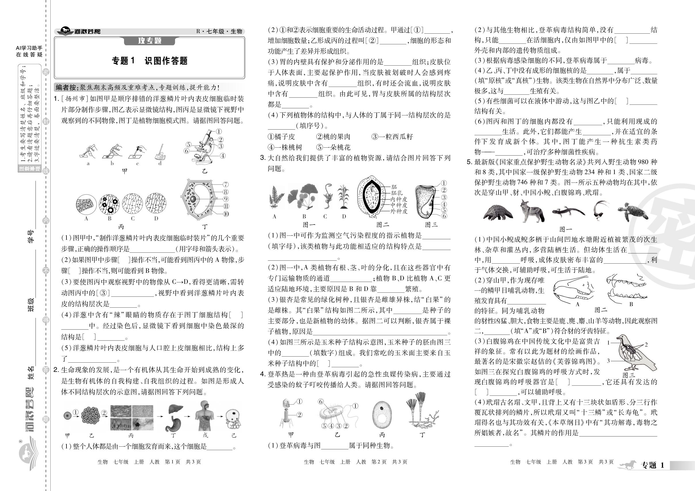 专题1 识图作答题&专题2 资料分析题-【芸熙百分】2025-2026学年七年级生物上册期末必刷卷（人教版·新教材）郑州专版