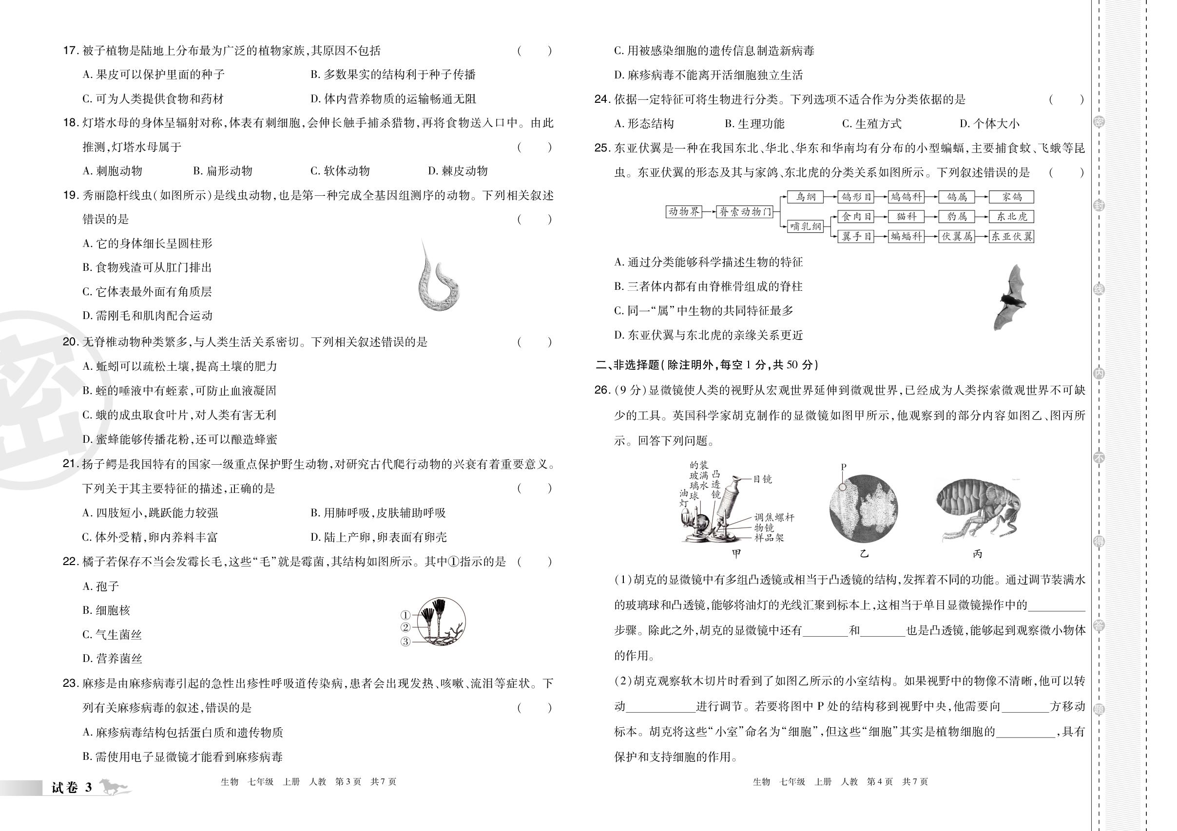 试卷3 河南省郑州市金水区管城区2024-2025学年上学期期末学情调研试题卷-【芸熙百分】2025-2026学年七年级生物上册期末必刷卷（人教版·新教材）郑州专版